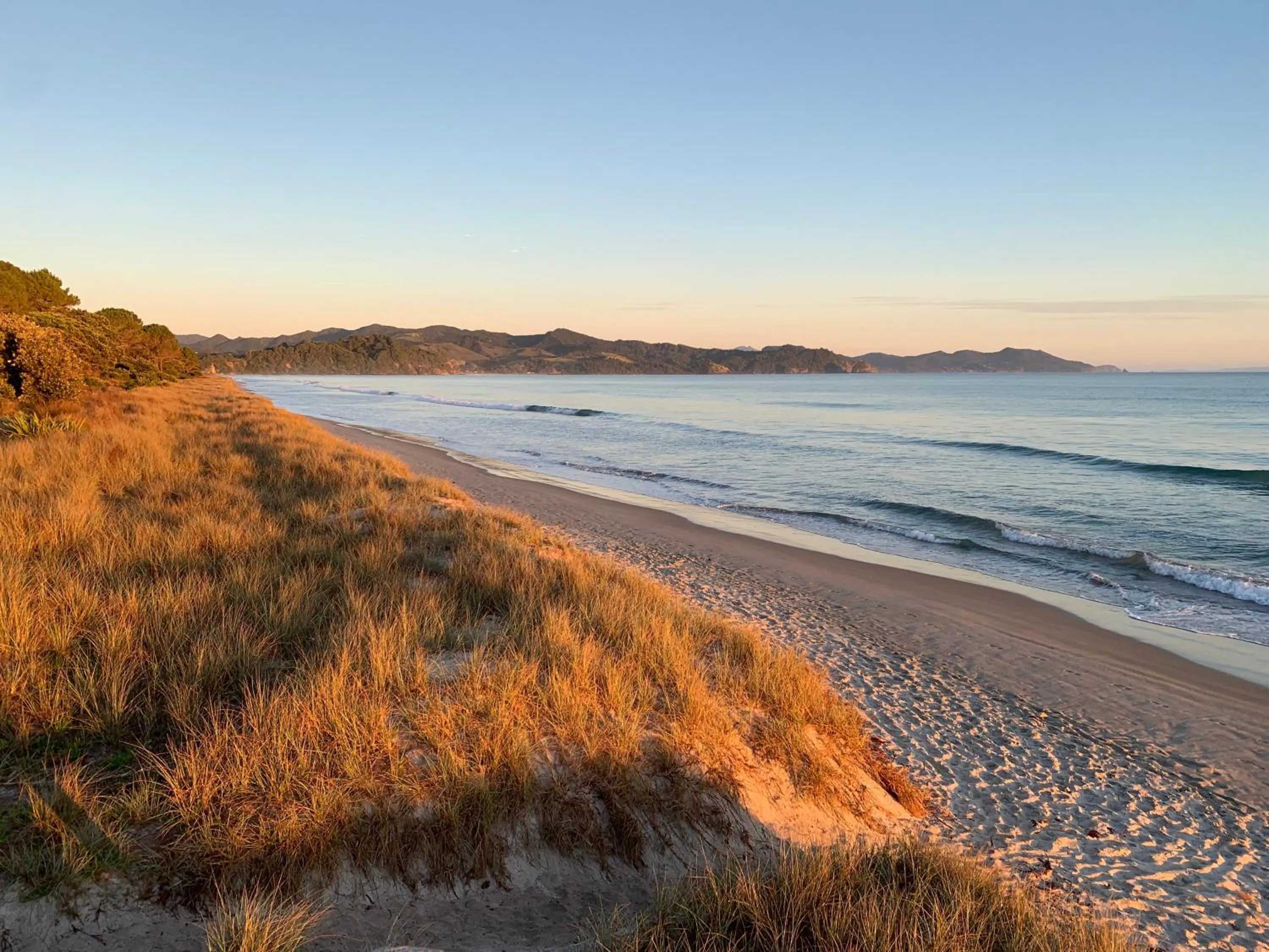 Beach in The Matarangi B & B