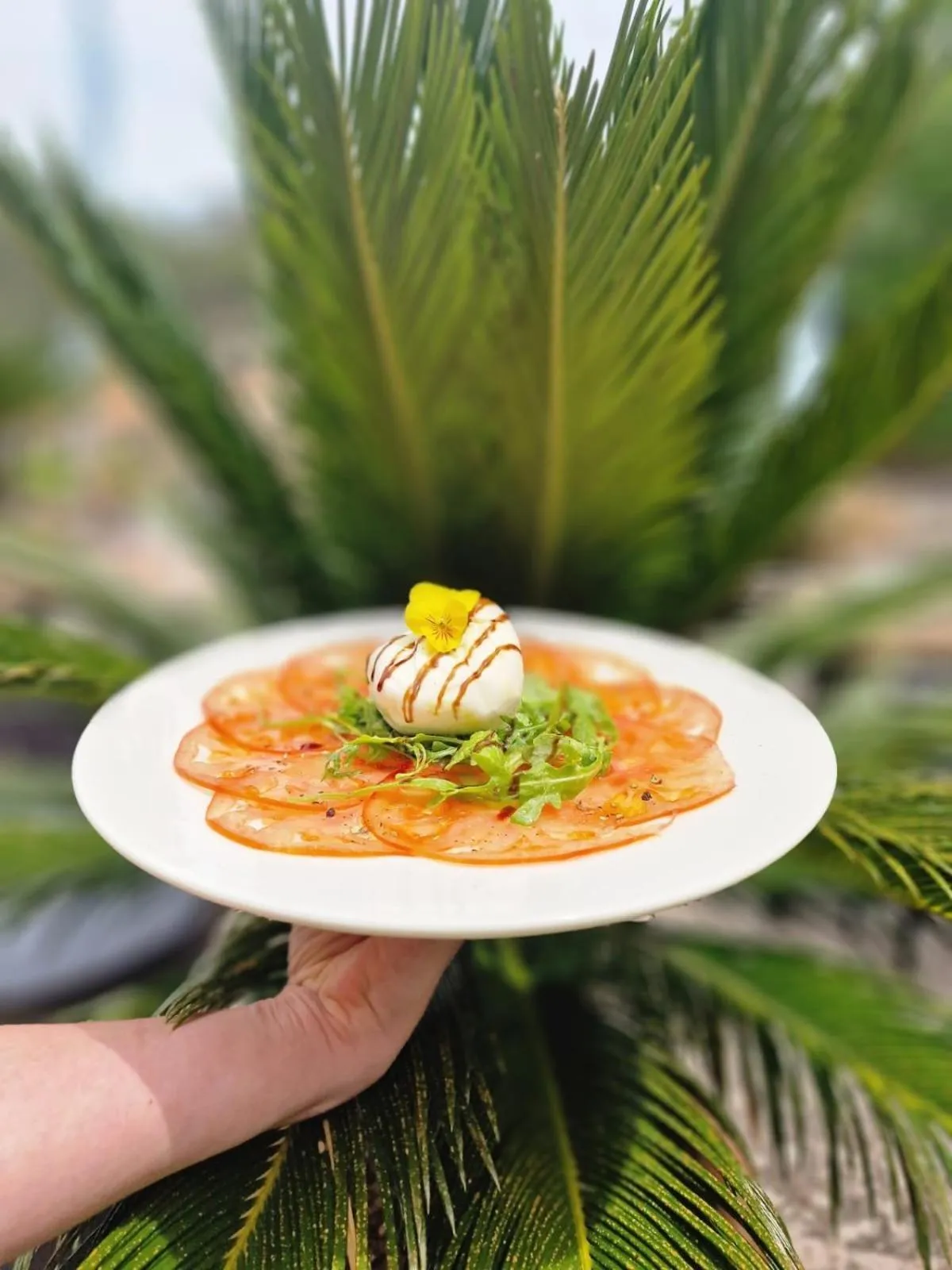 Food in Hotel Rural Nou Dalt Muntanya