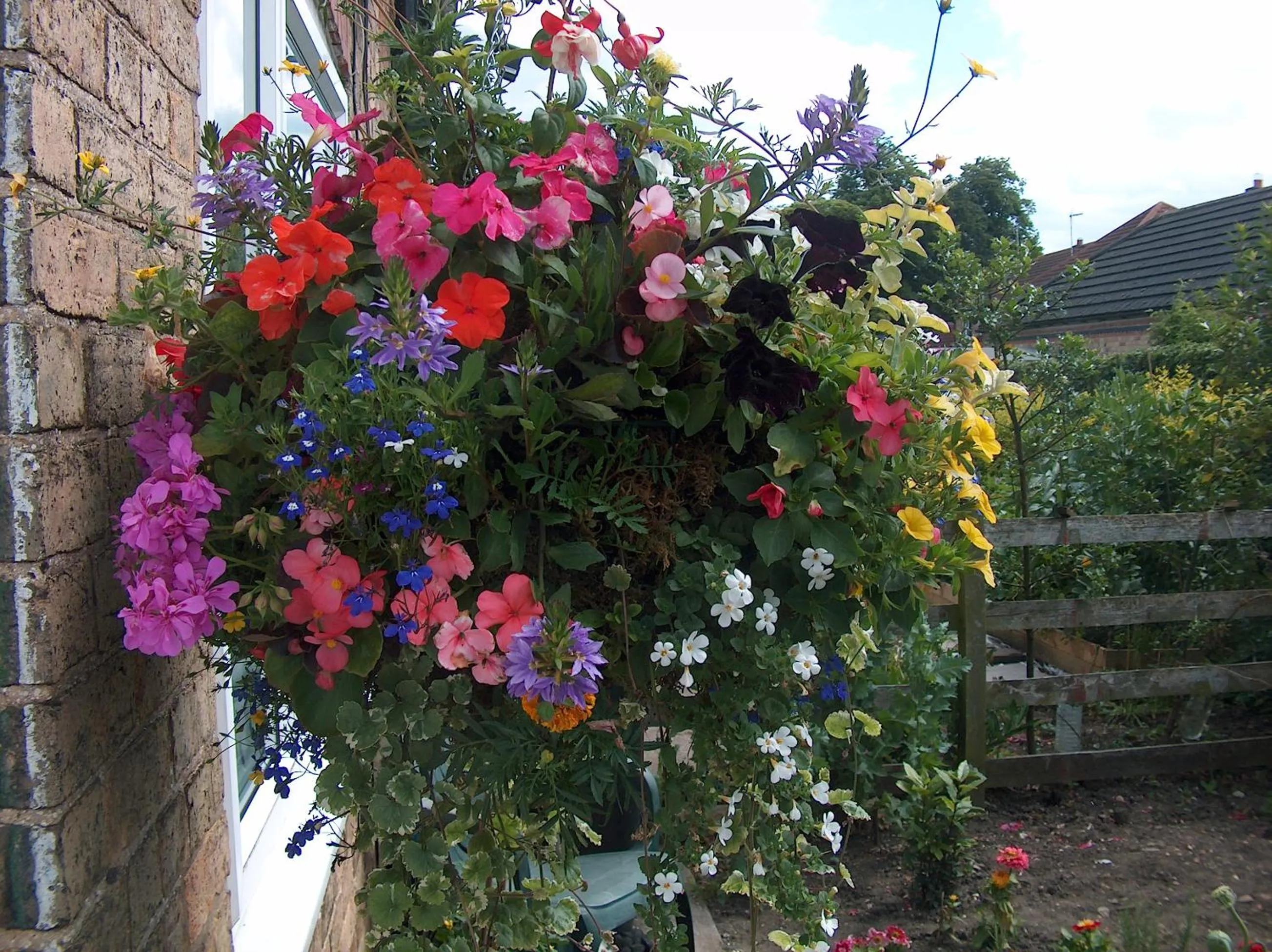 Garden in Hillcroft Luxury Bed & Breakfast