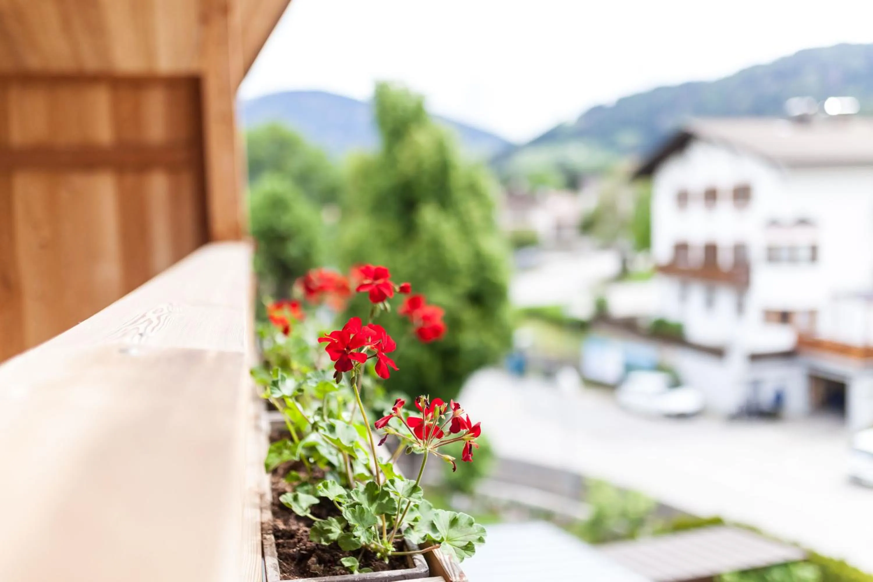 Decorative detail in Residence Aichner