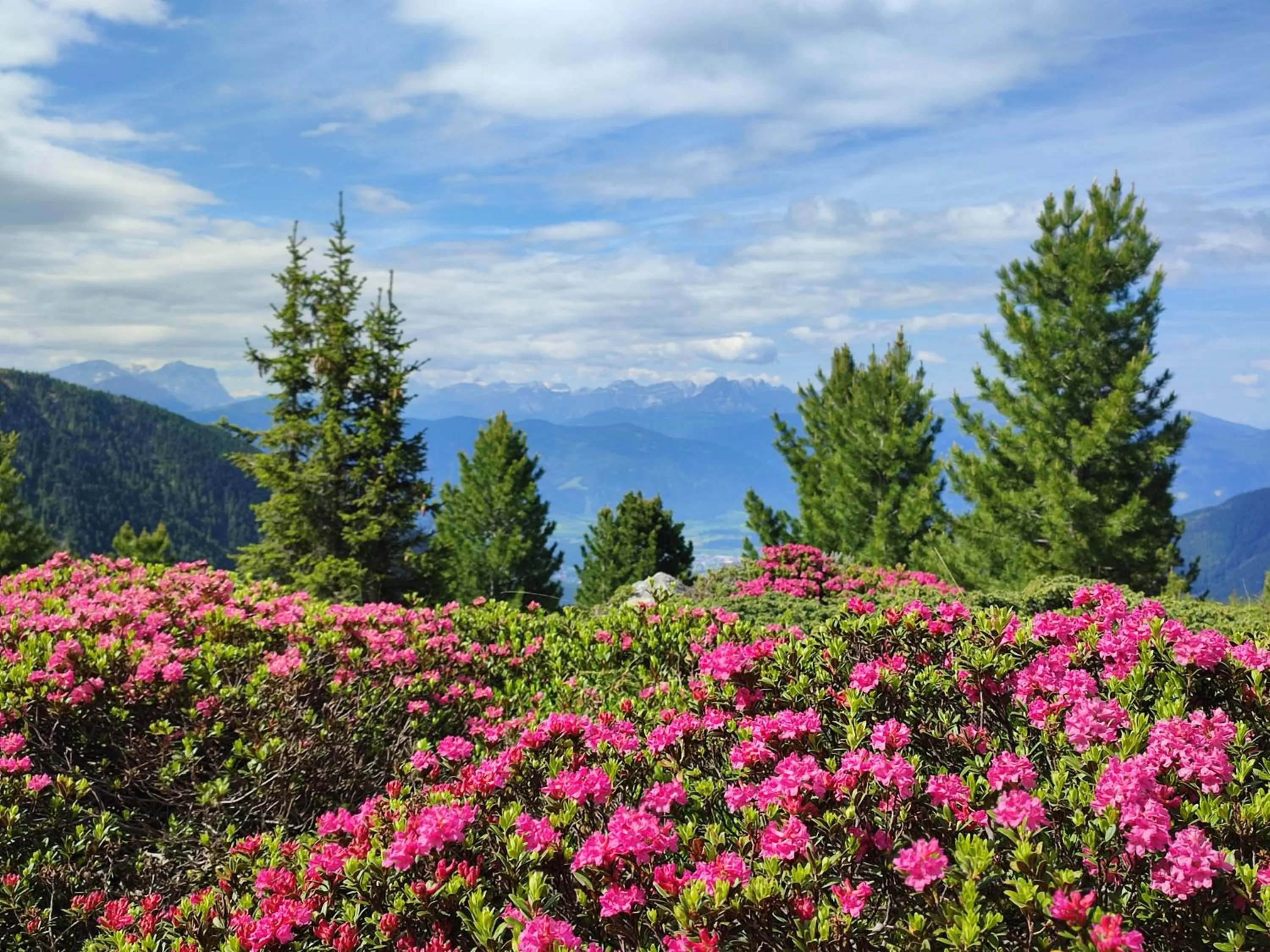 Hiking in Residence Aichner