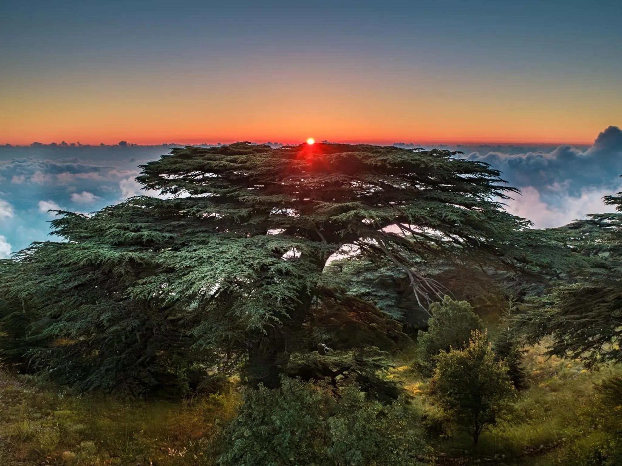 Area and facilities in voco Beirut Central District by IHG