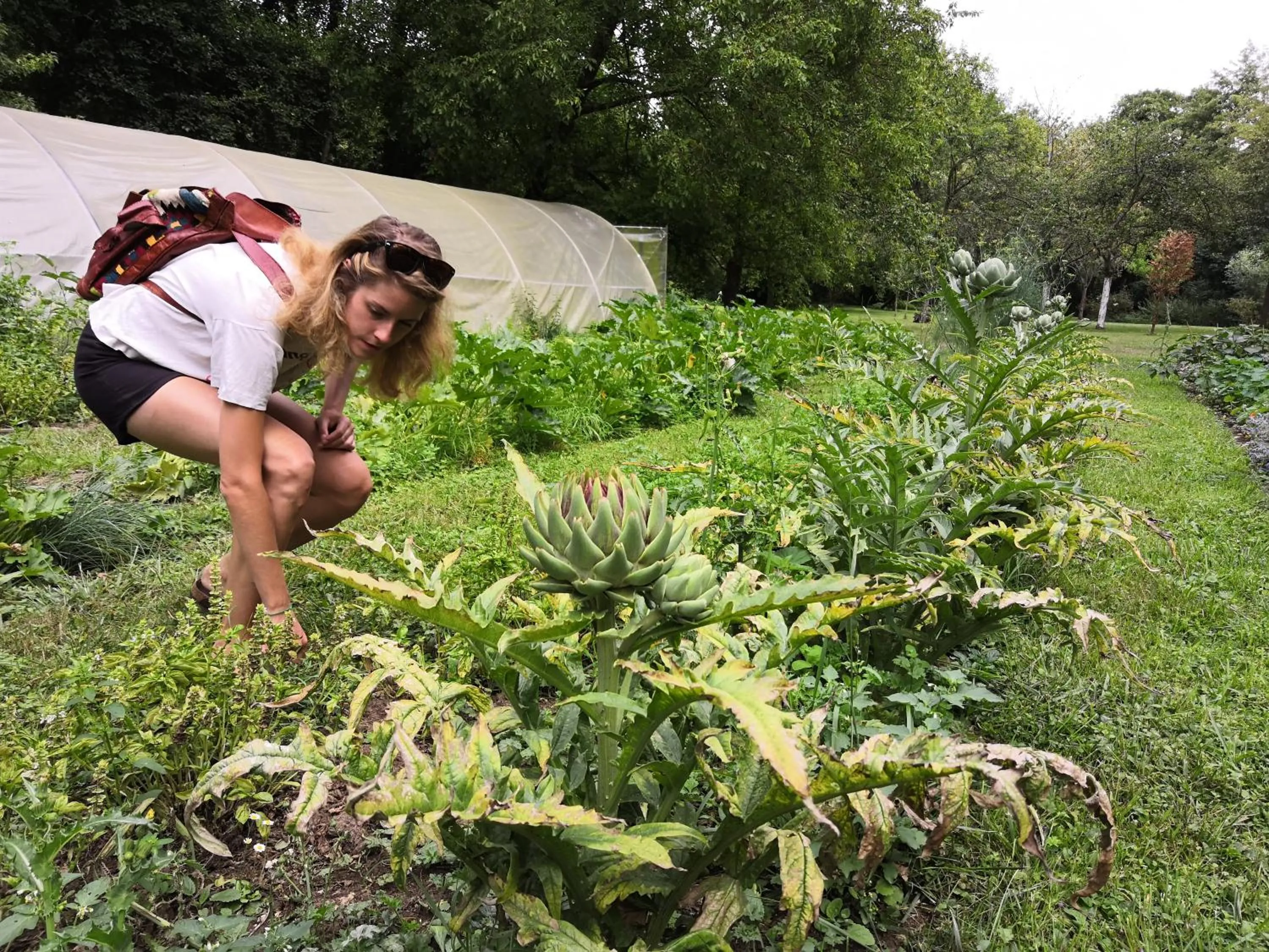 Belle Isle Sur Risle - Chateau Hotel & Spa