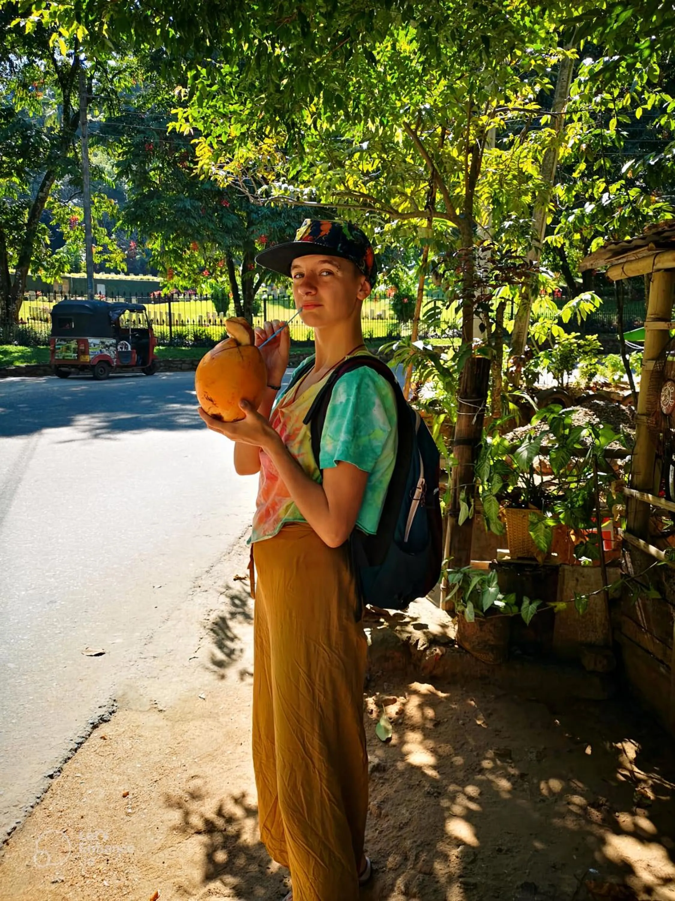 Spring in Funk Bunks - Kandy