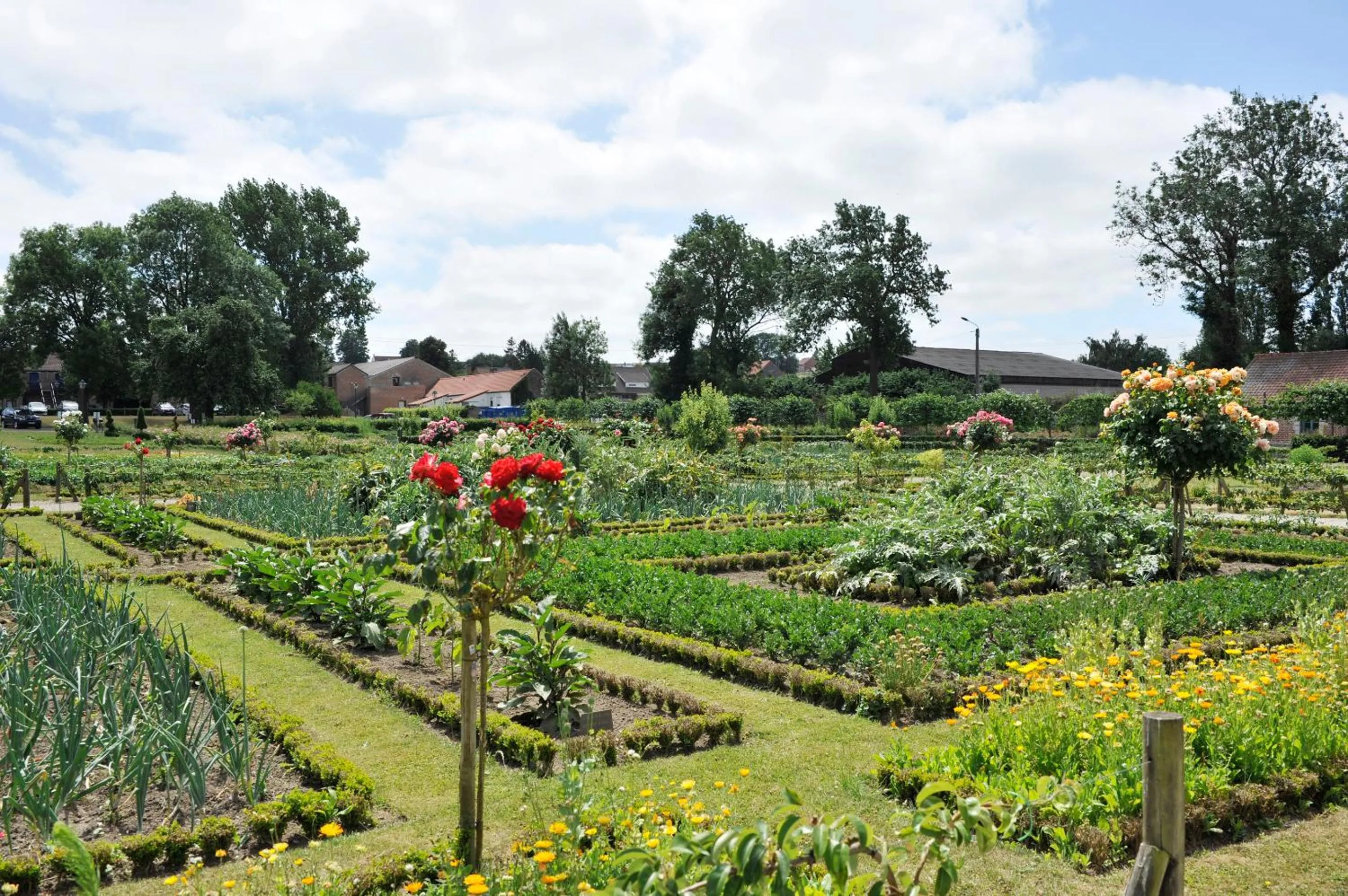 Natural landscape in Best Western La Metairie