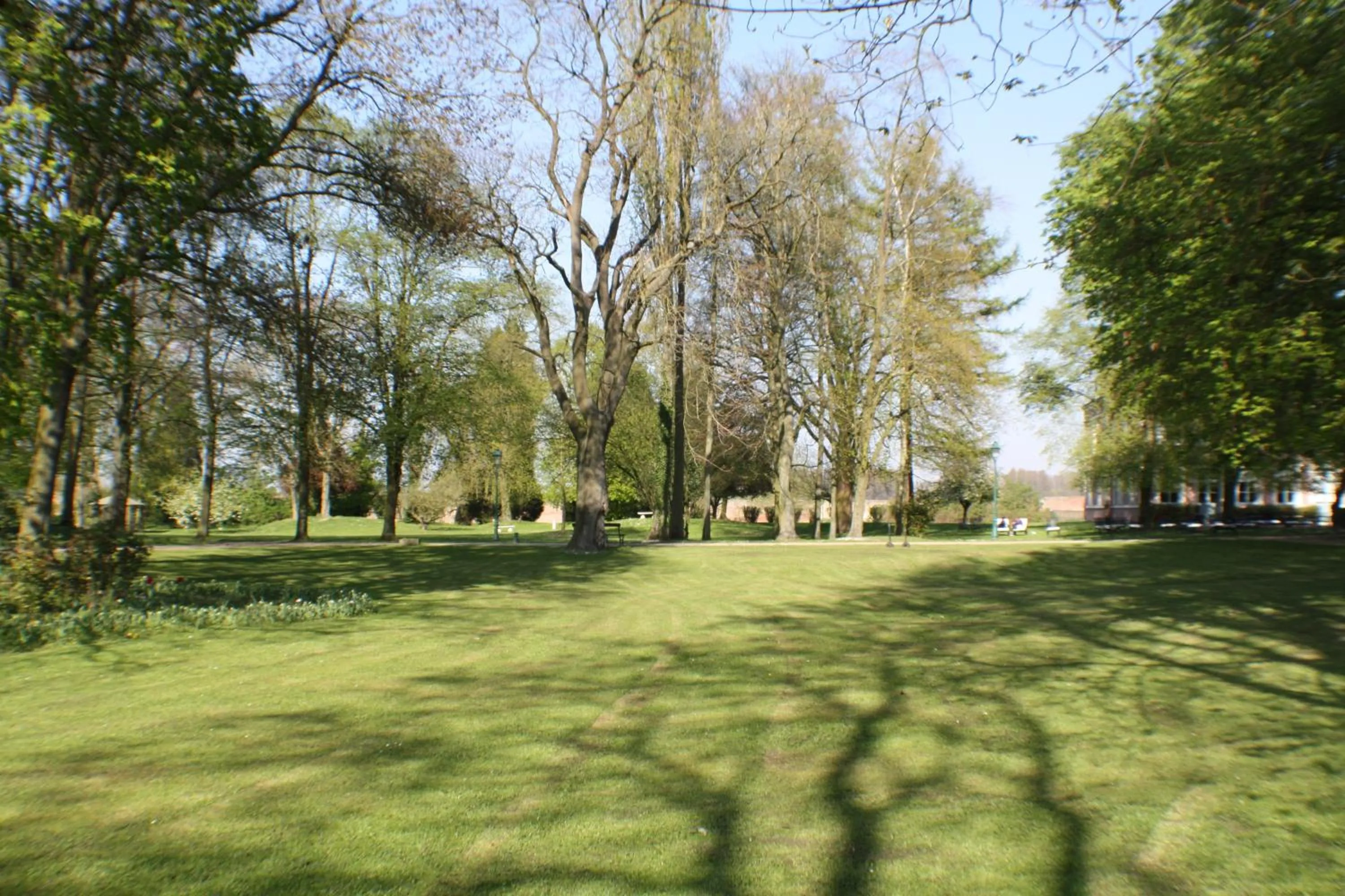 Area and facilities in Best Western La Metairie