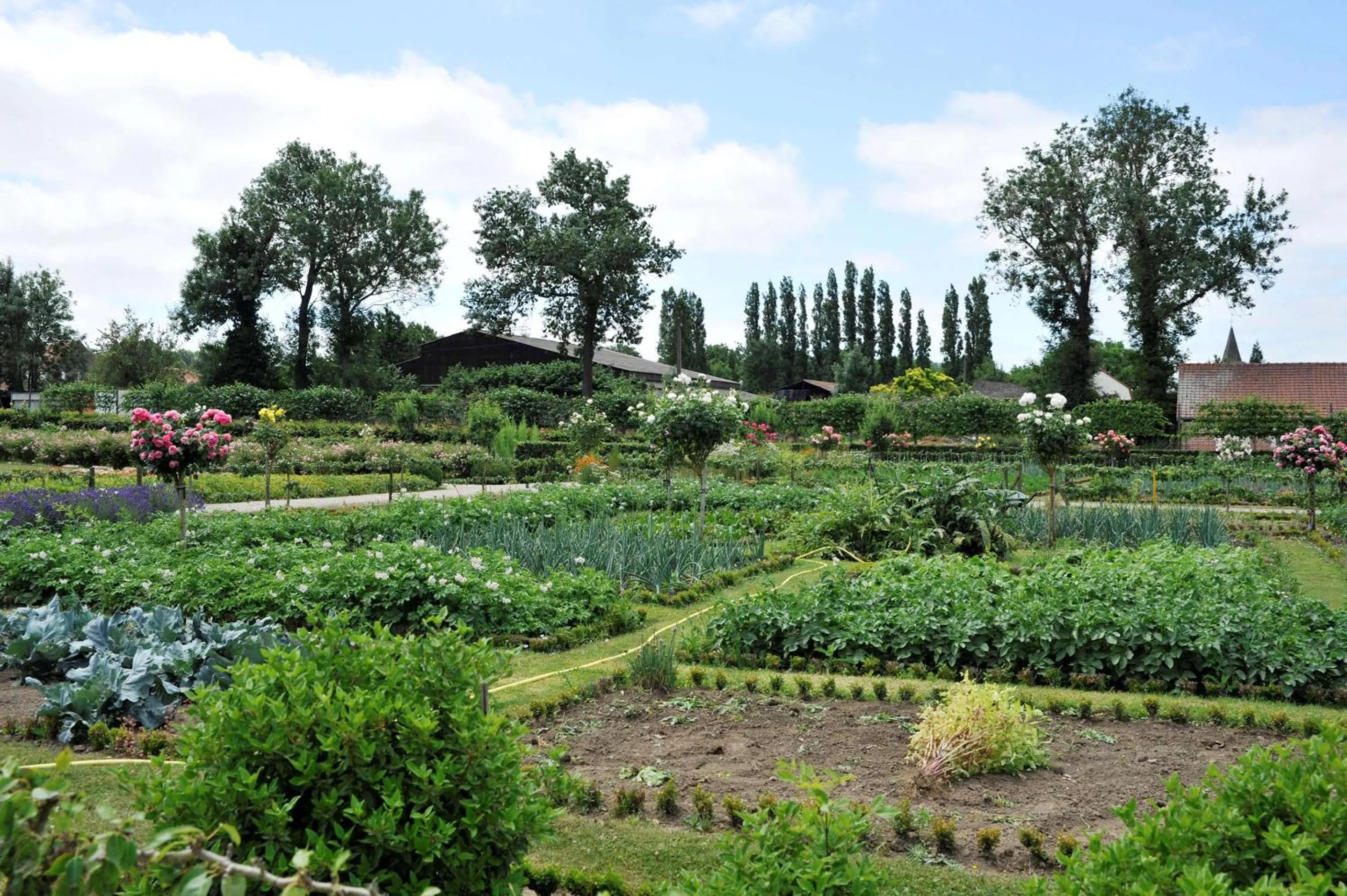 Property building in Best Western La Metairie