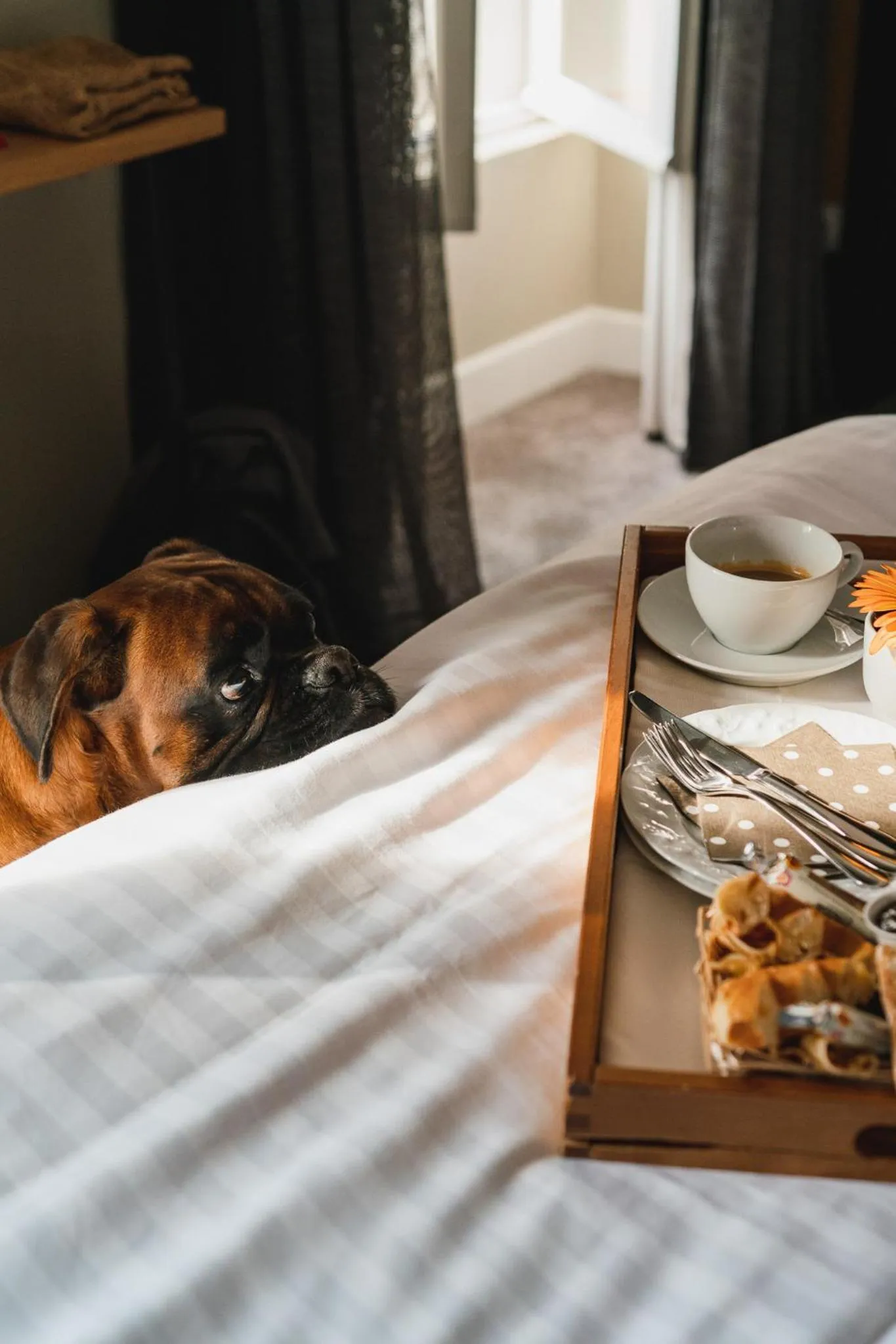 Bedroom, Bed in Chateau du Clos de la Ribaudiere - Teritoria