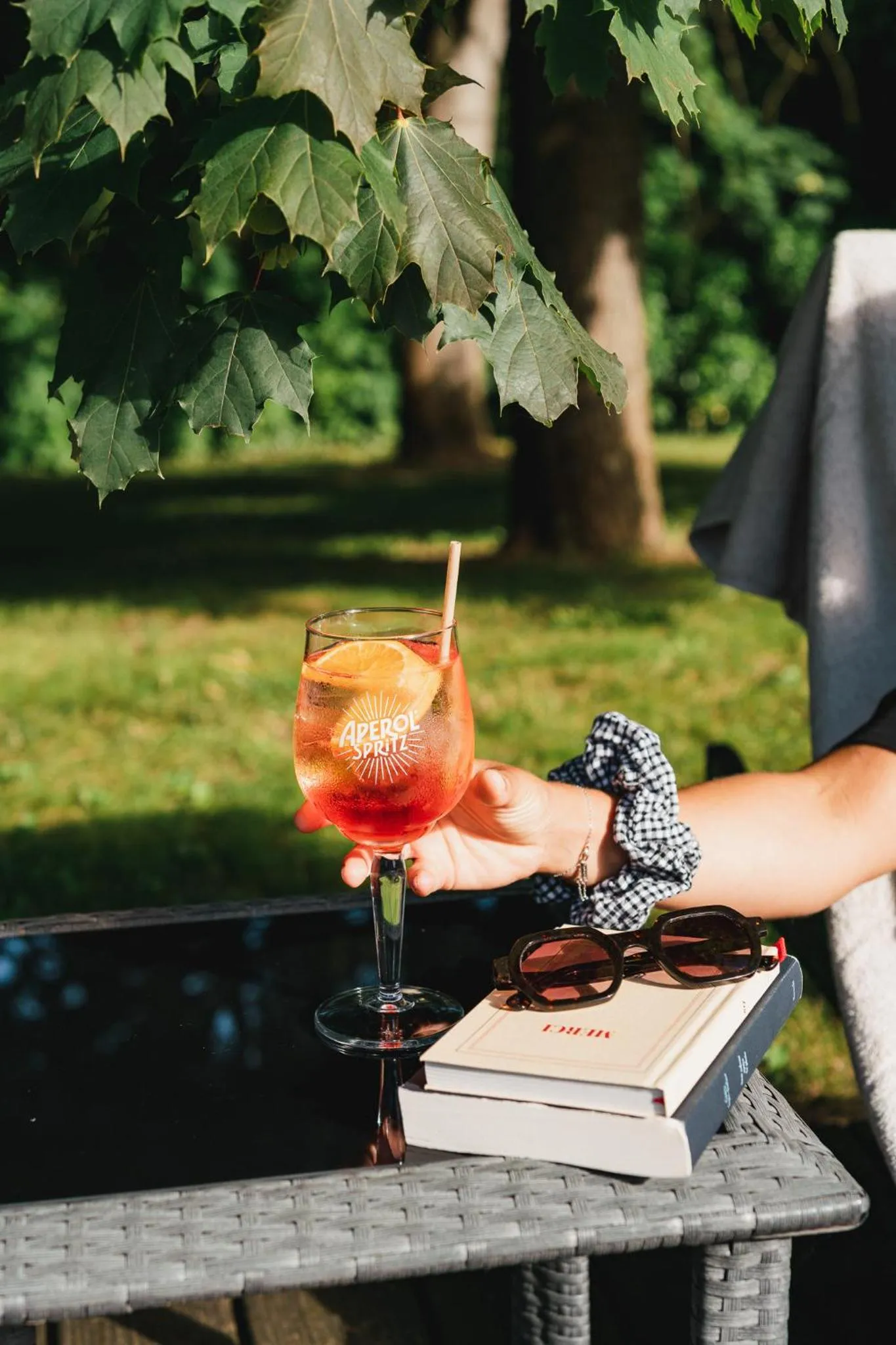 Chateau du Clos de la Ribaudiere - Teritoria