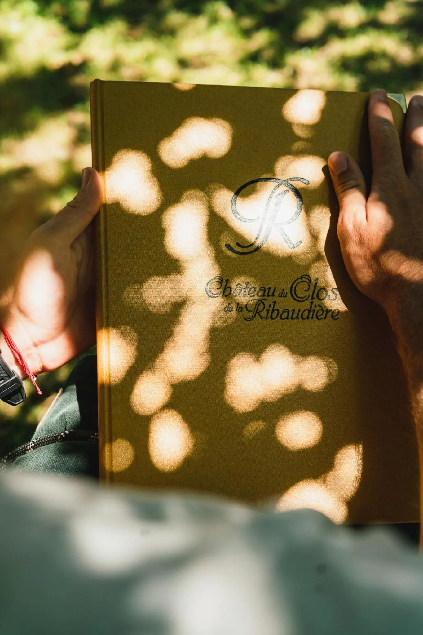 Restaurant/places to eat in Chateau du Clos de la Ribaudiere - Teritoria