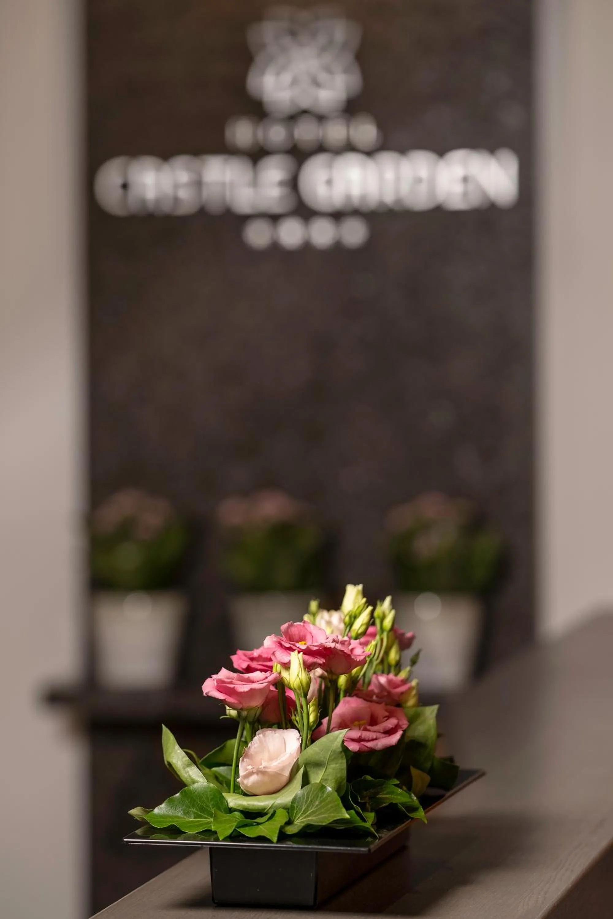 Lobby or reception in Hotel Castle Garden