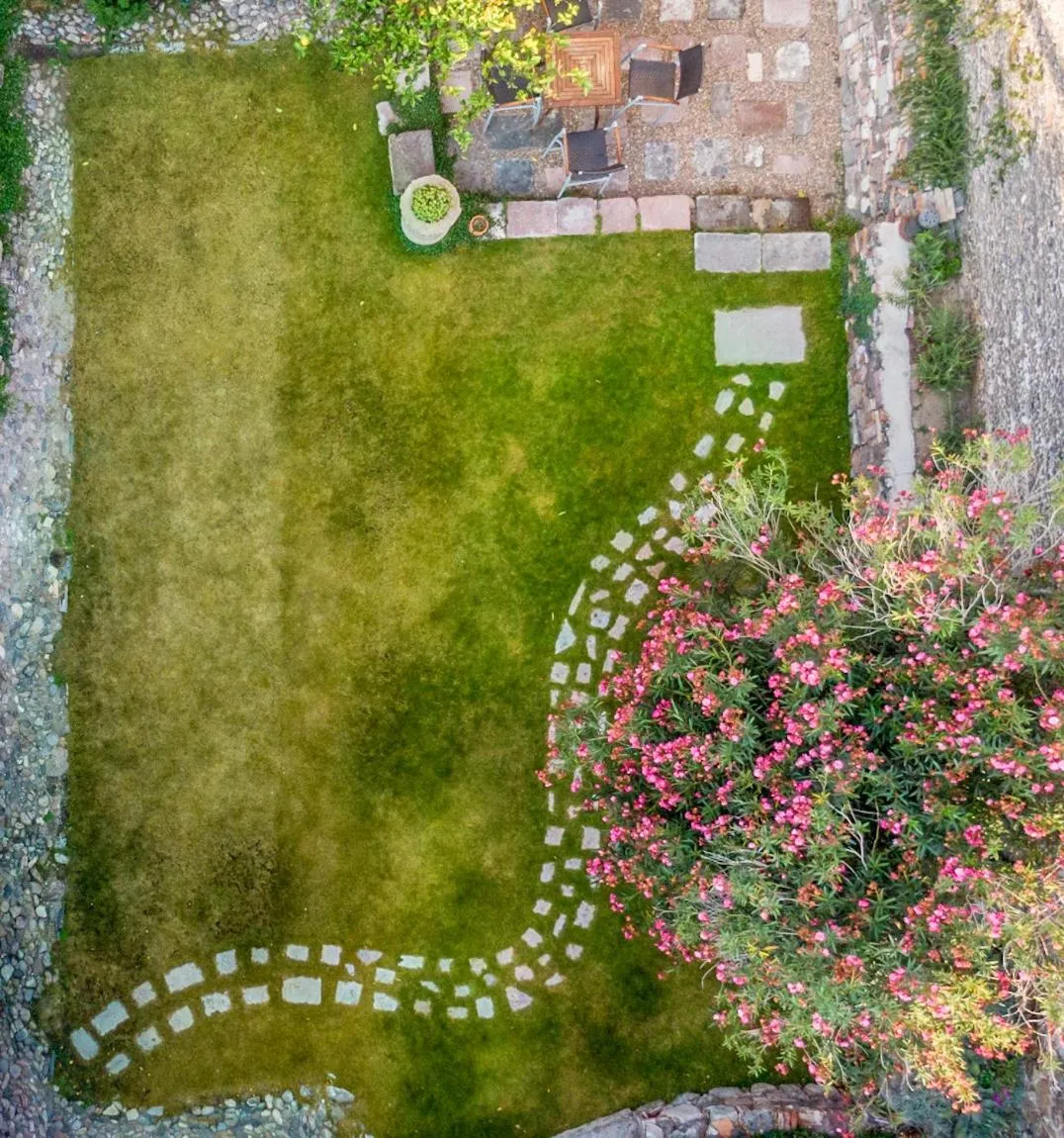 Garden in Orchid House San Miguel de Allende