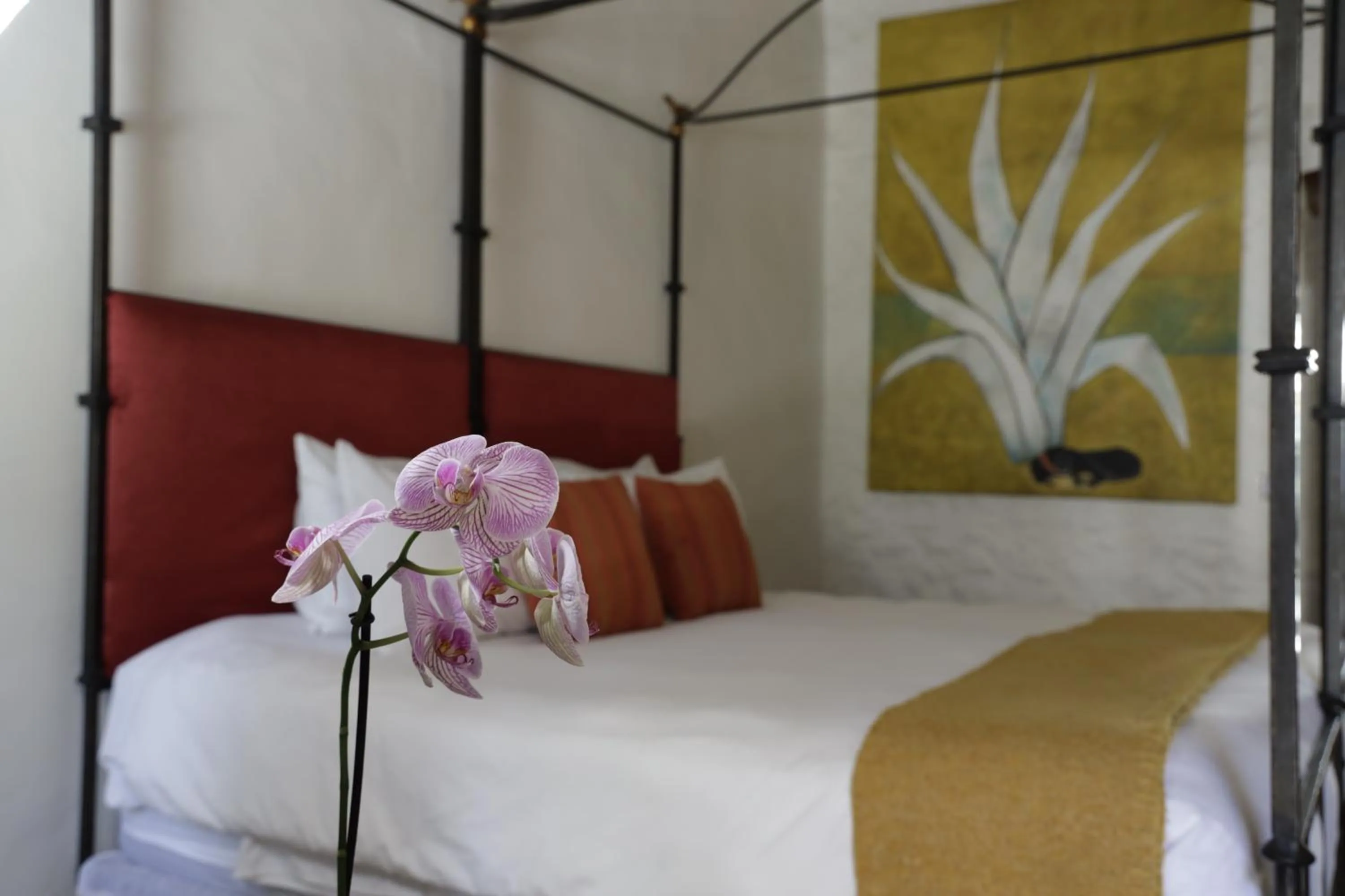 Decorative detail, Bed in Orchid House San Miguel de Allende
