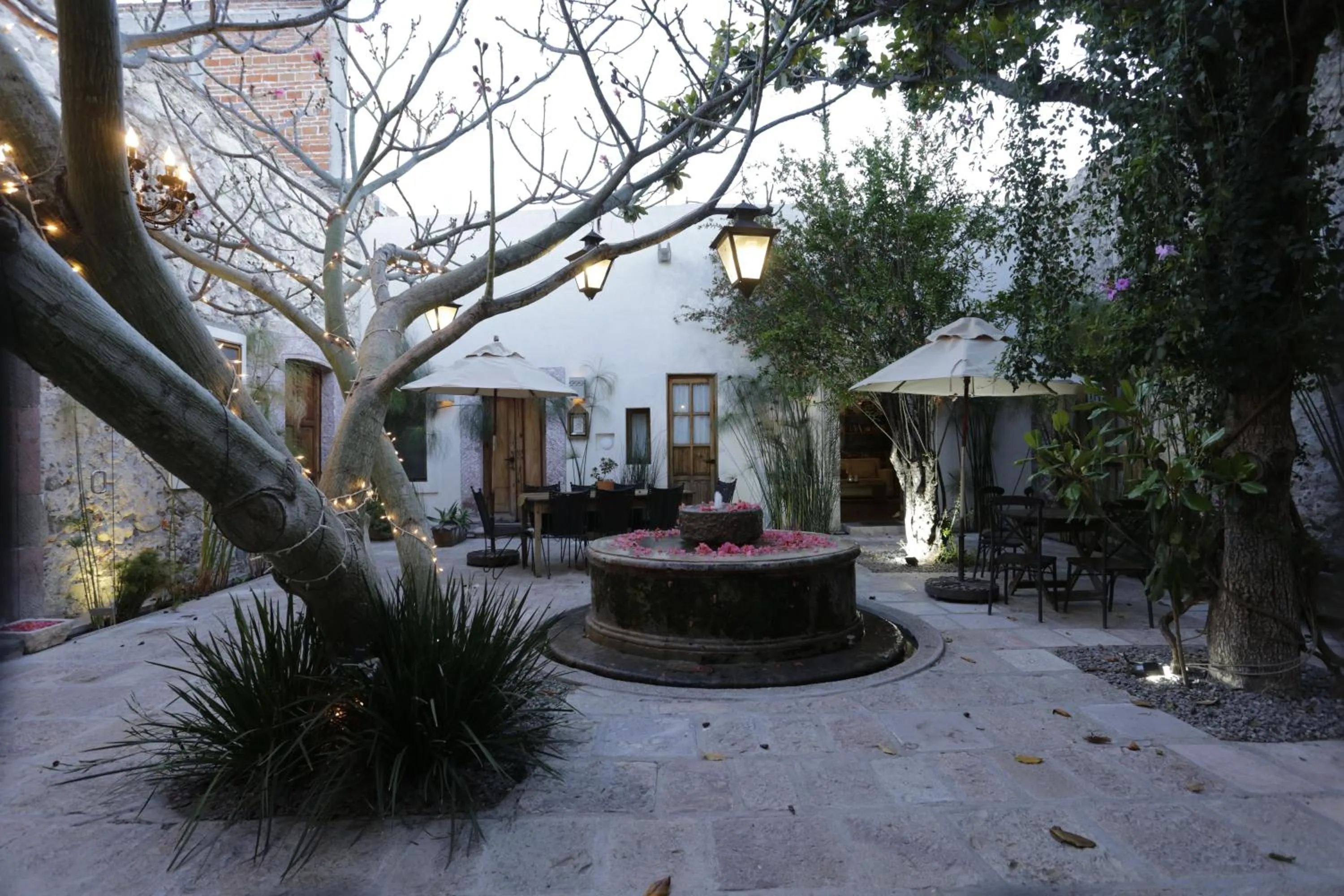 Property building in Orchid House San Miguel de Allende