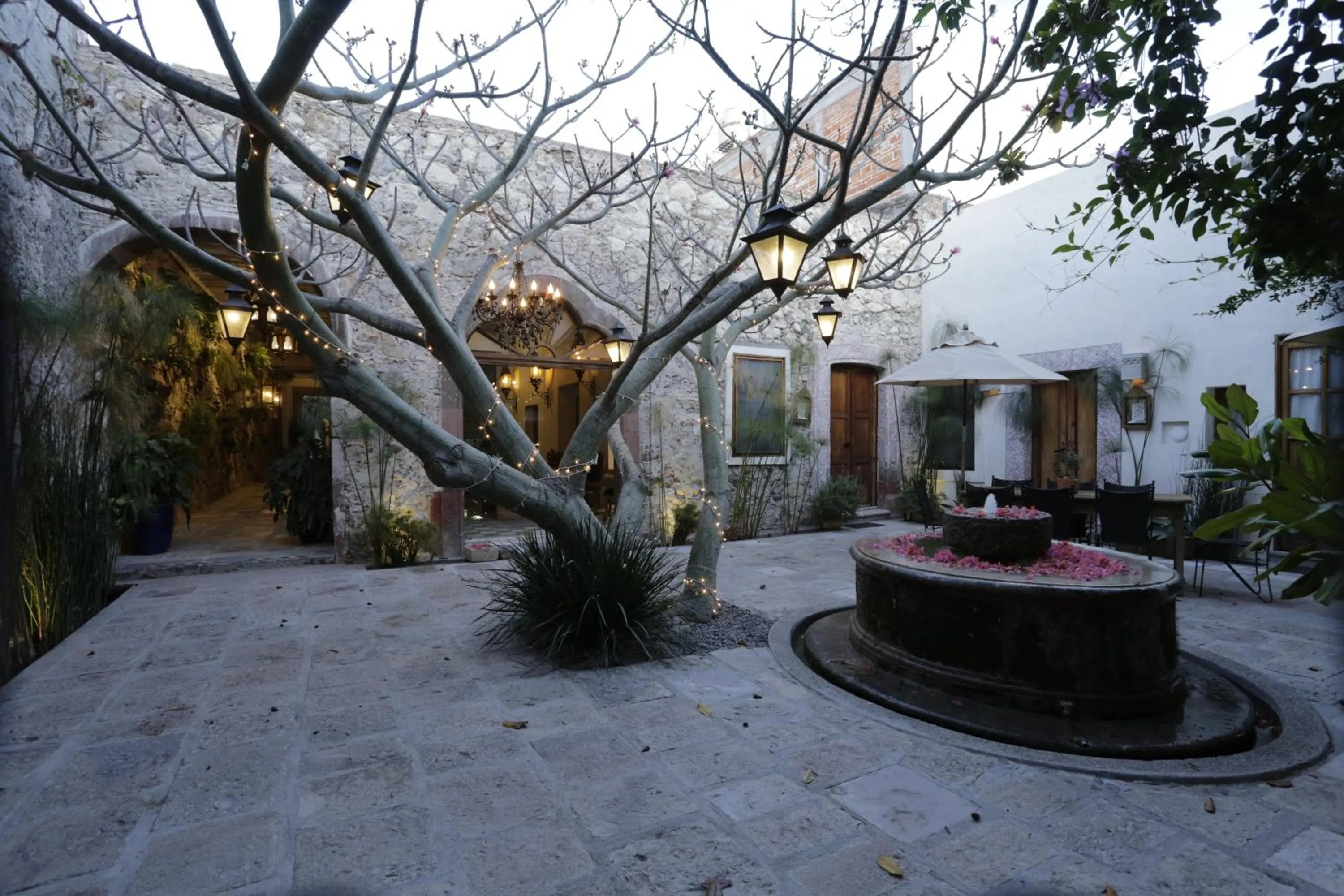 Property building in Orchid House San Miguel de Allende