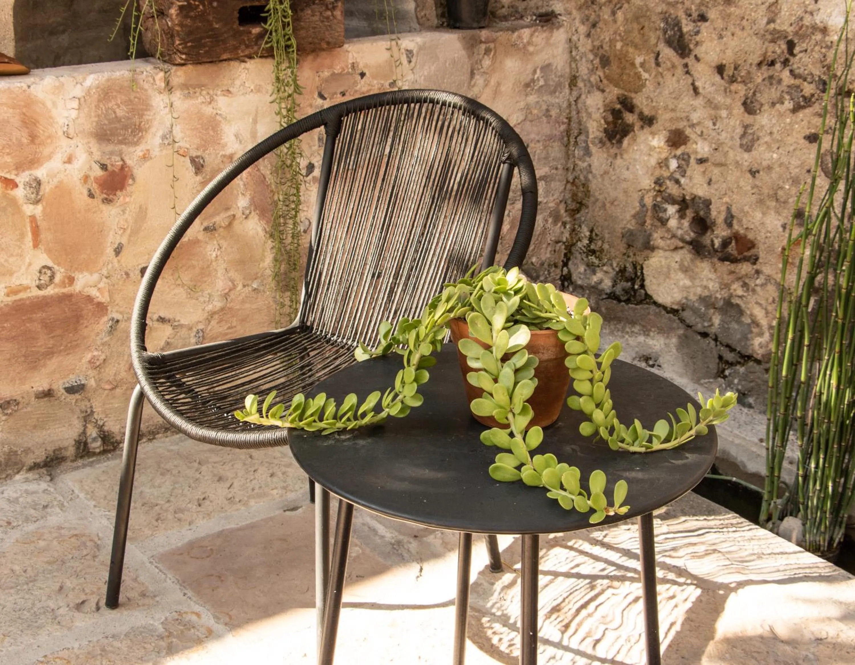 Garden in Orchid House San Miguel de Allende