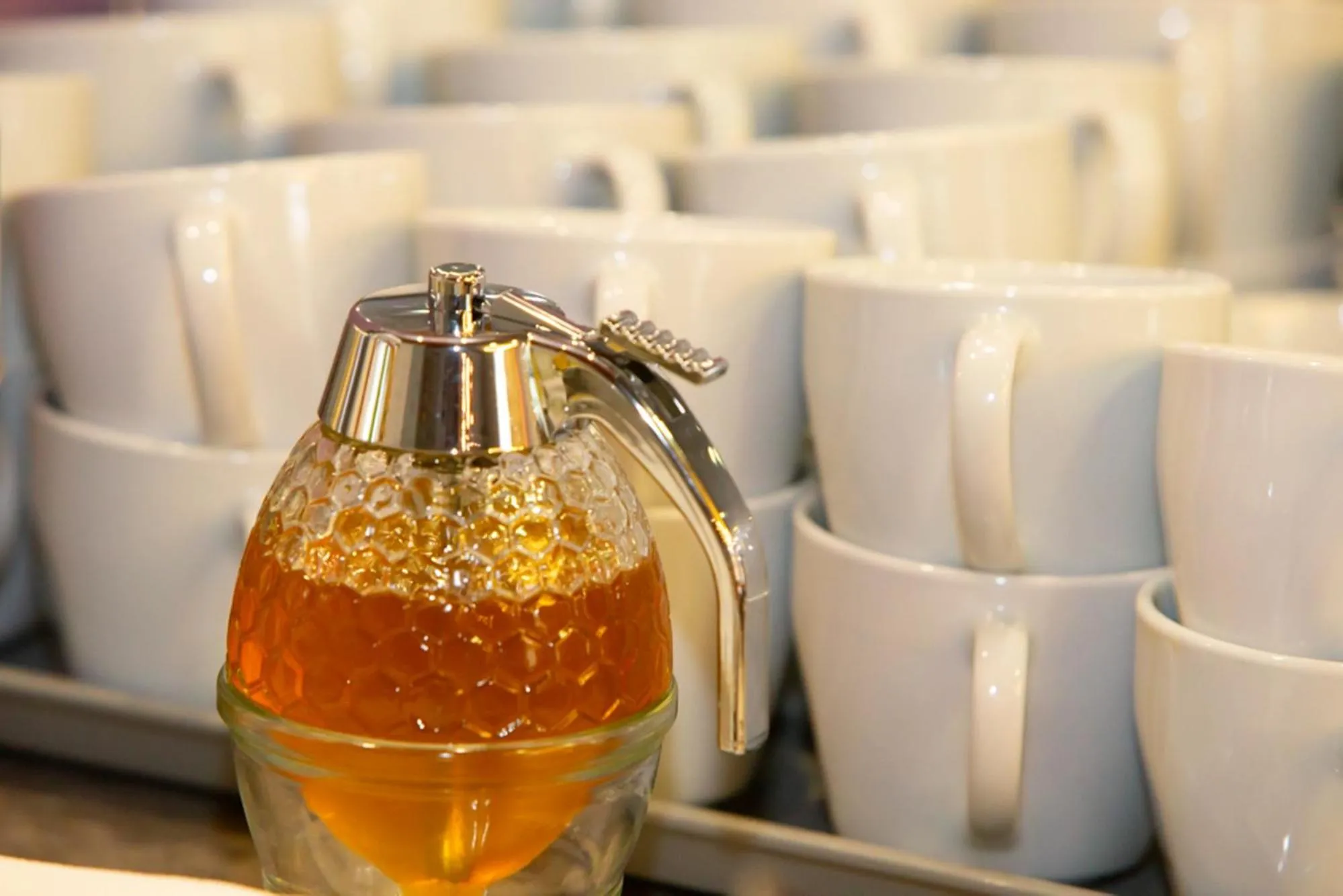 Restaurant/places to eat in Hotel Regnum Residence