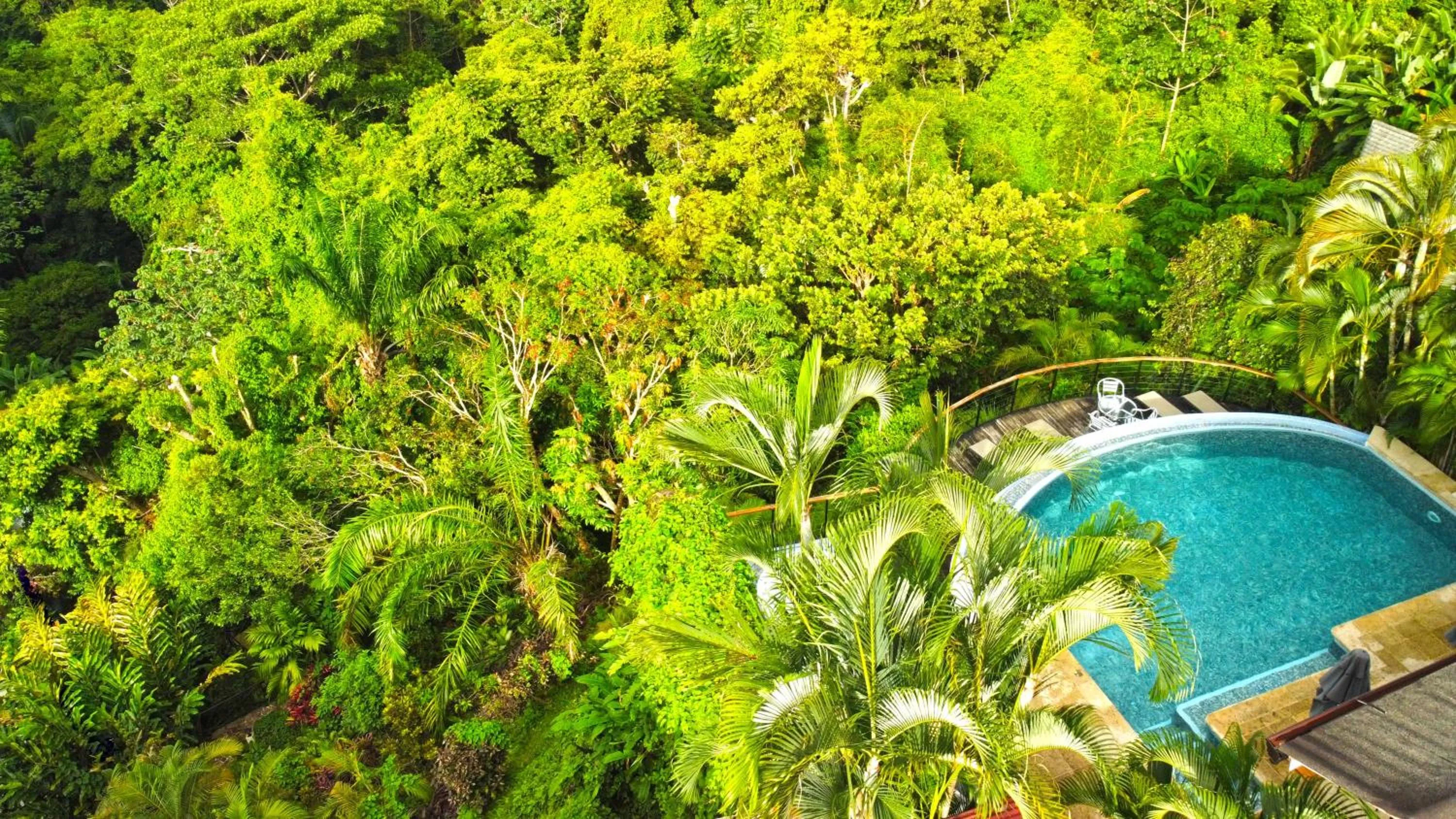 Pool view in Villa Roca Boutique Resort & Suites - ADULT ONLY