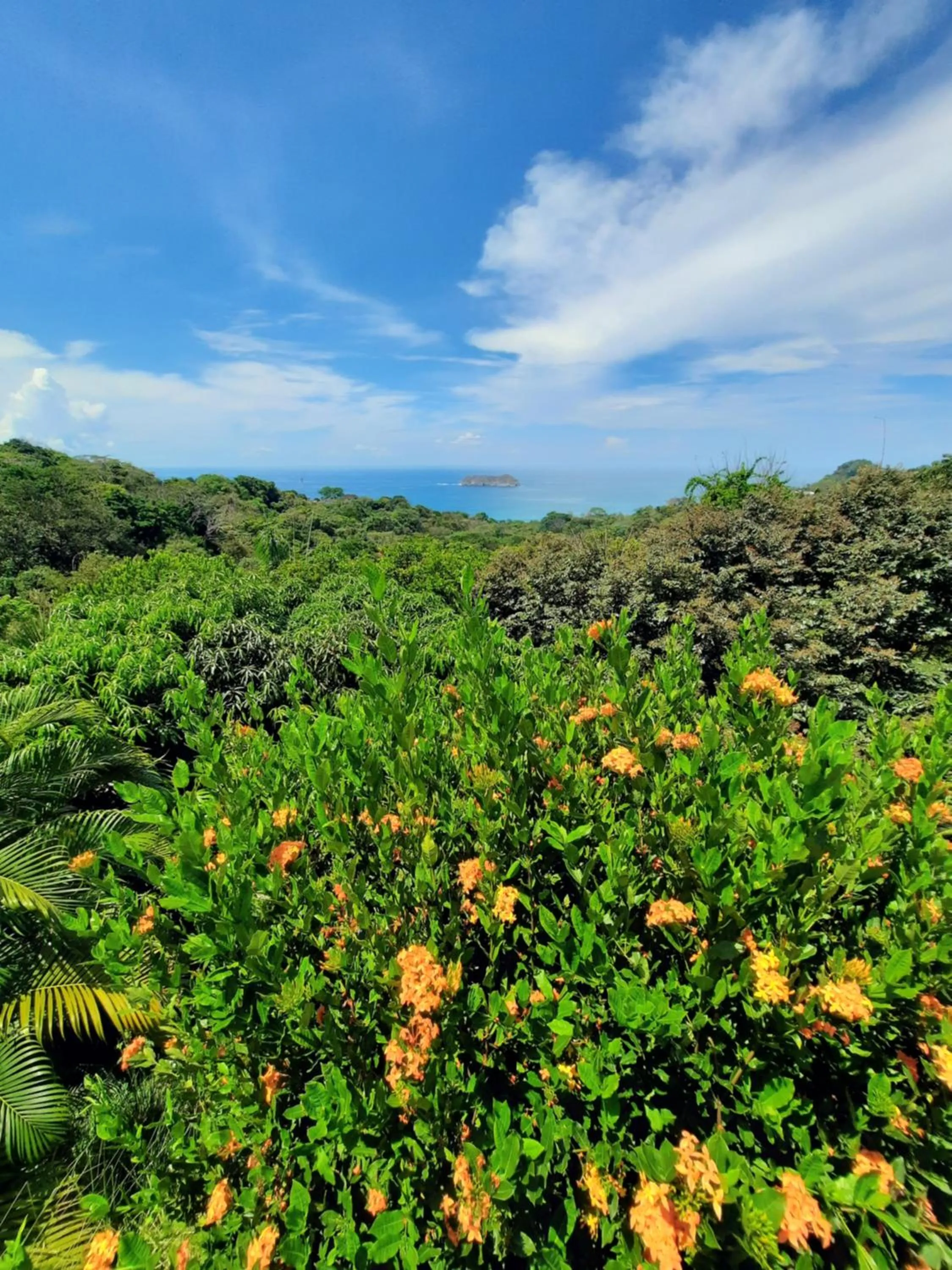 Sea view in Villa Roca Boutique Resort & Suites - ADULT ONLY