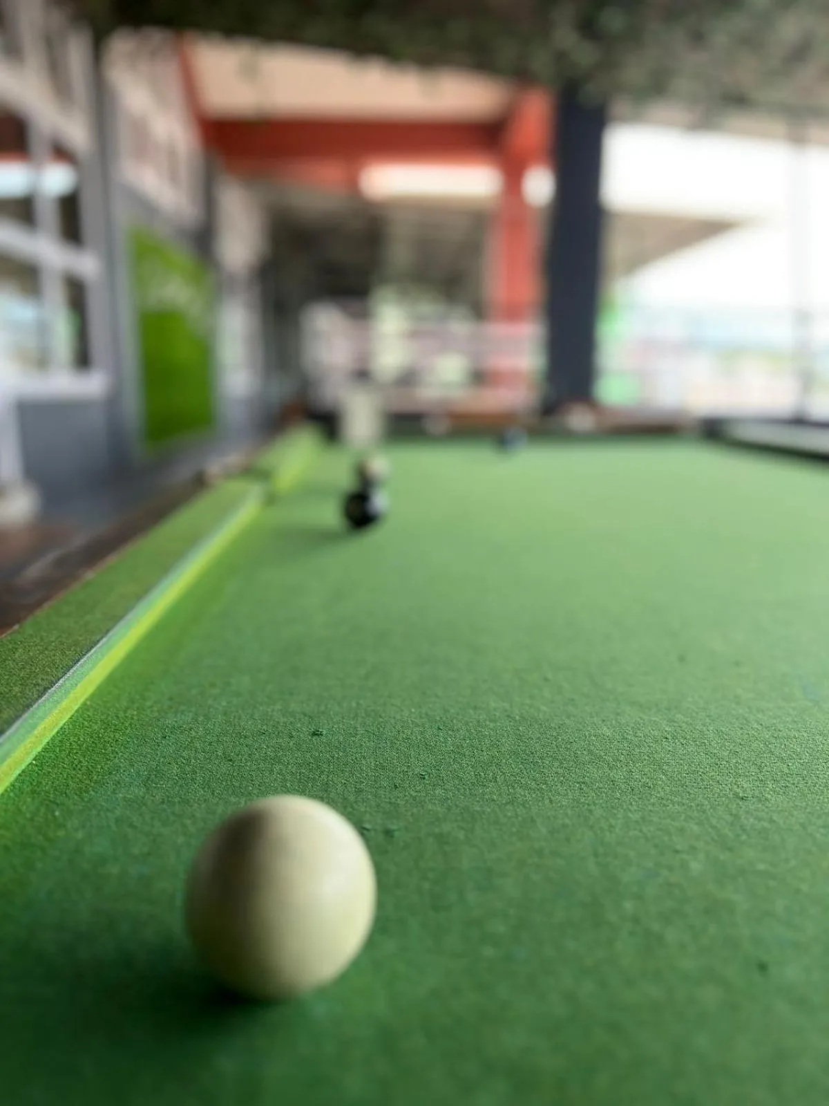 Billiard in The Living Roof