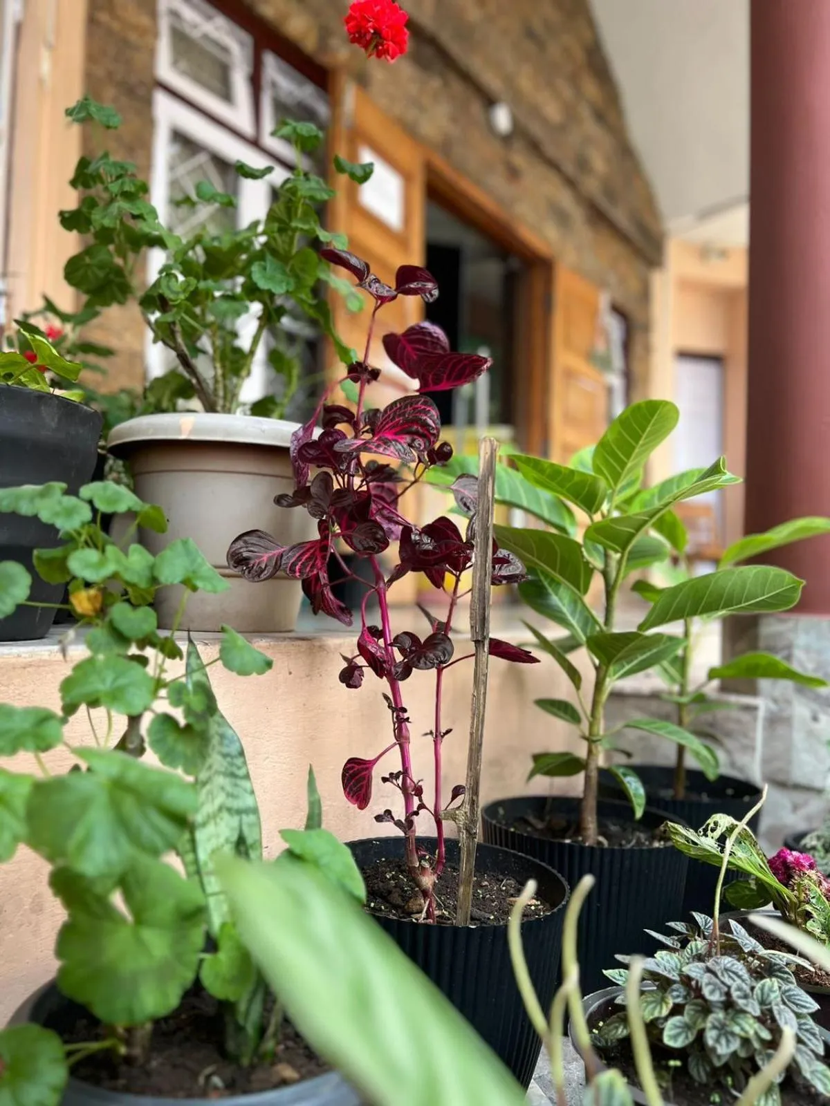 Facade/entrance in The Living Roof