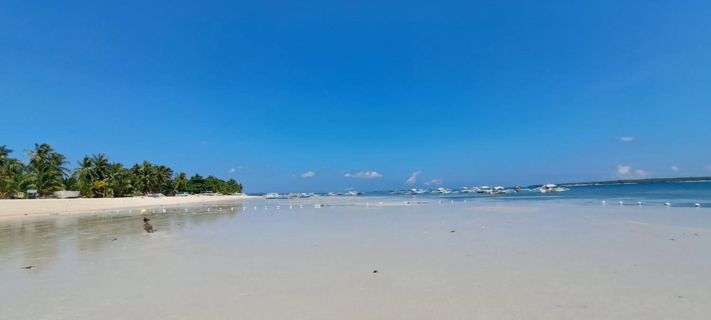 Sea view in In Dai Aquasports and Beach Resort