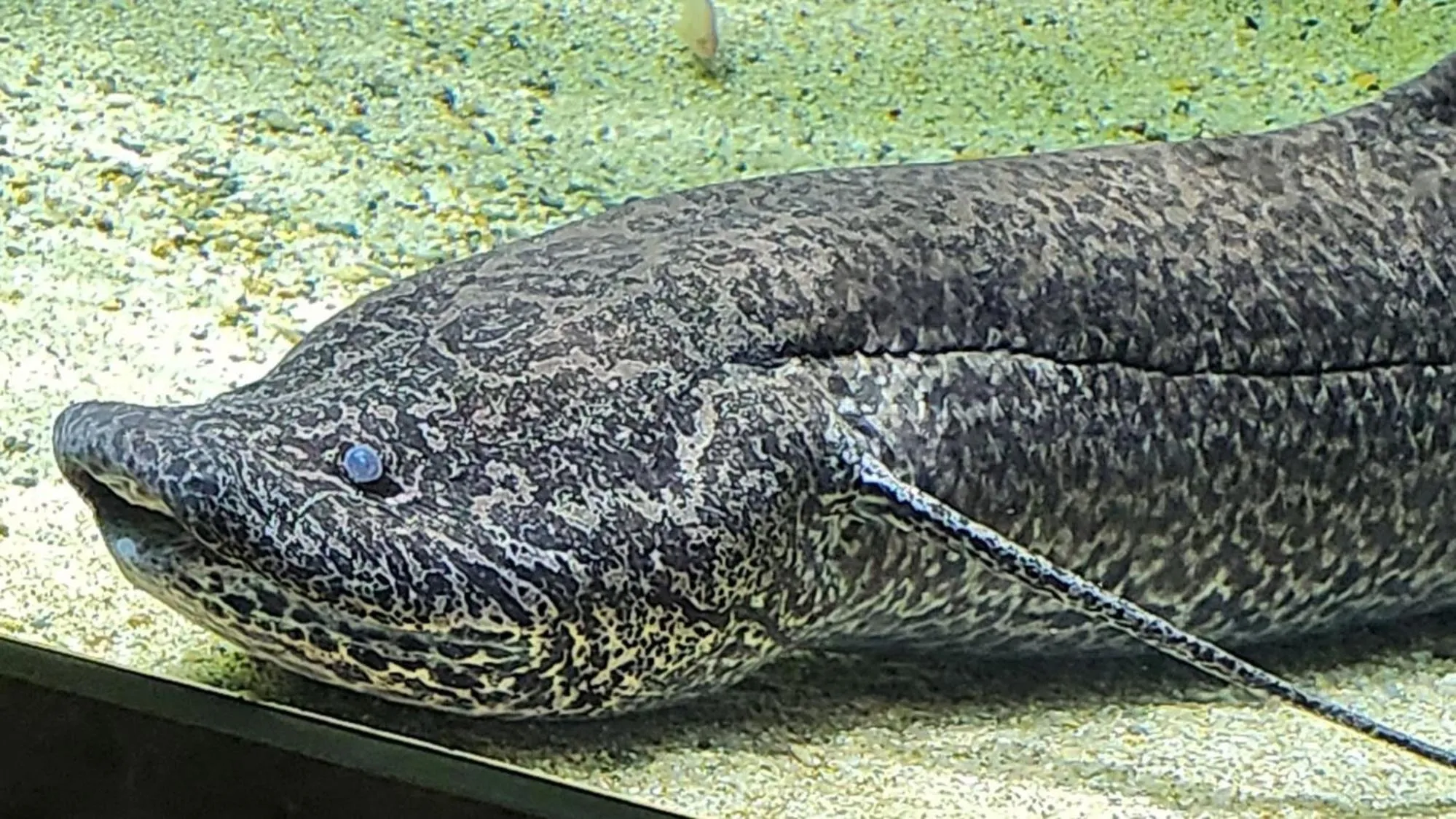 Nearby landmark in Toyoko Inn Kawasaki Ekimae Shiyakusho-dori