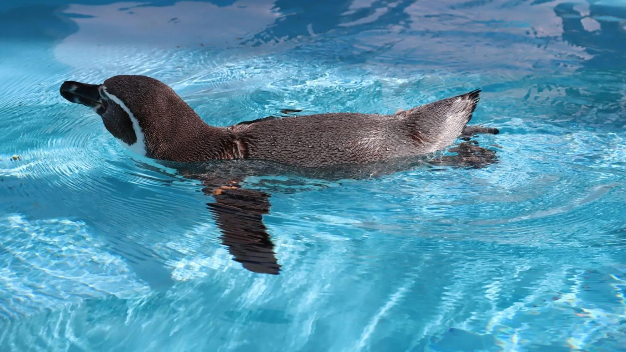 Nearby landmark in Toyoko Inn Musashi-nakahara Ekimae