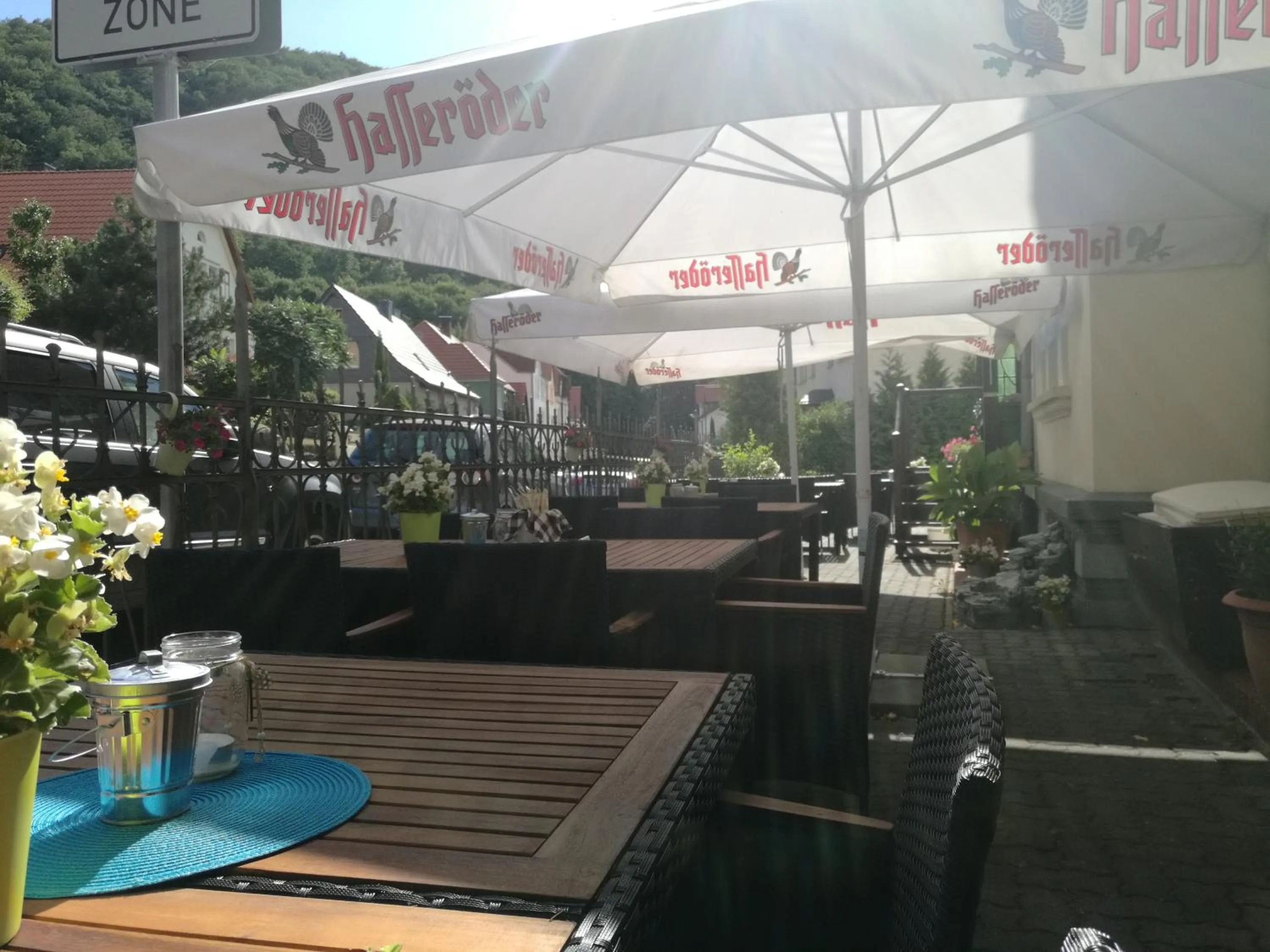 Balcony/Terrace in Hotel Villa Alice