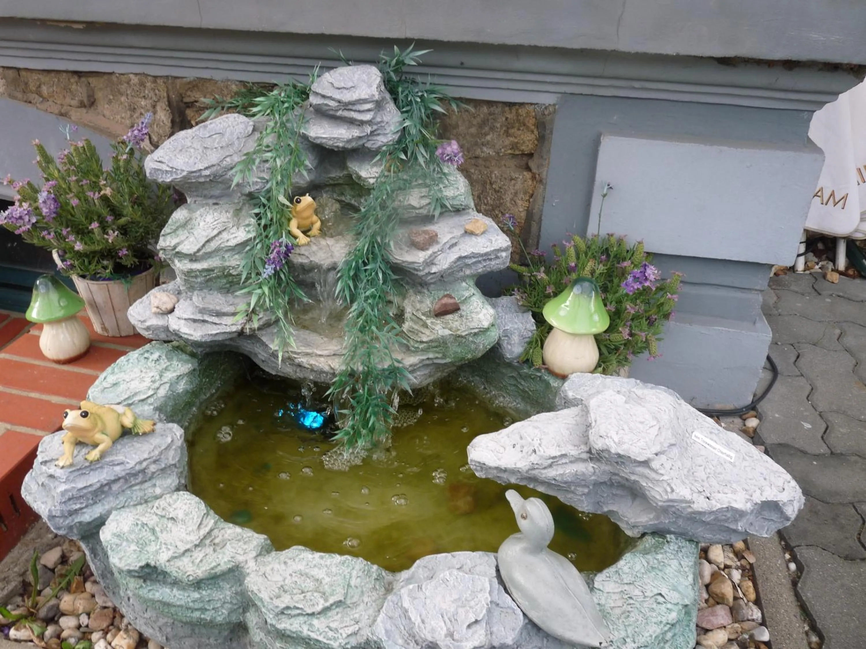 Garden in Hotel Villa Alice