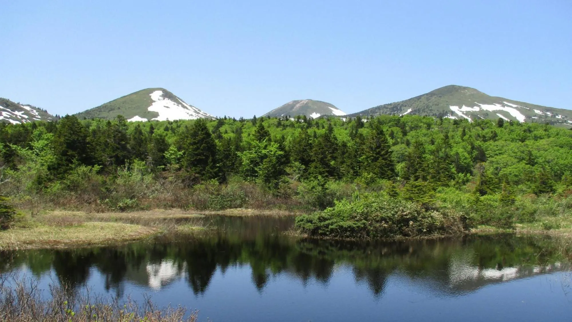 Nearby landmark in Toyoko Inn Aomori Ekimae