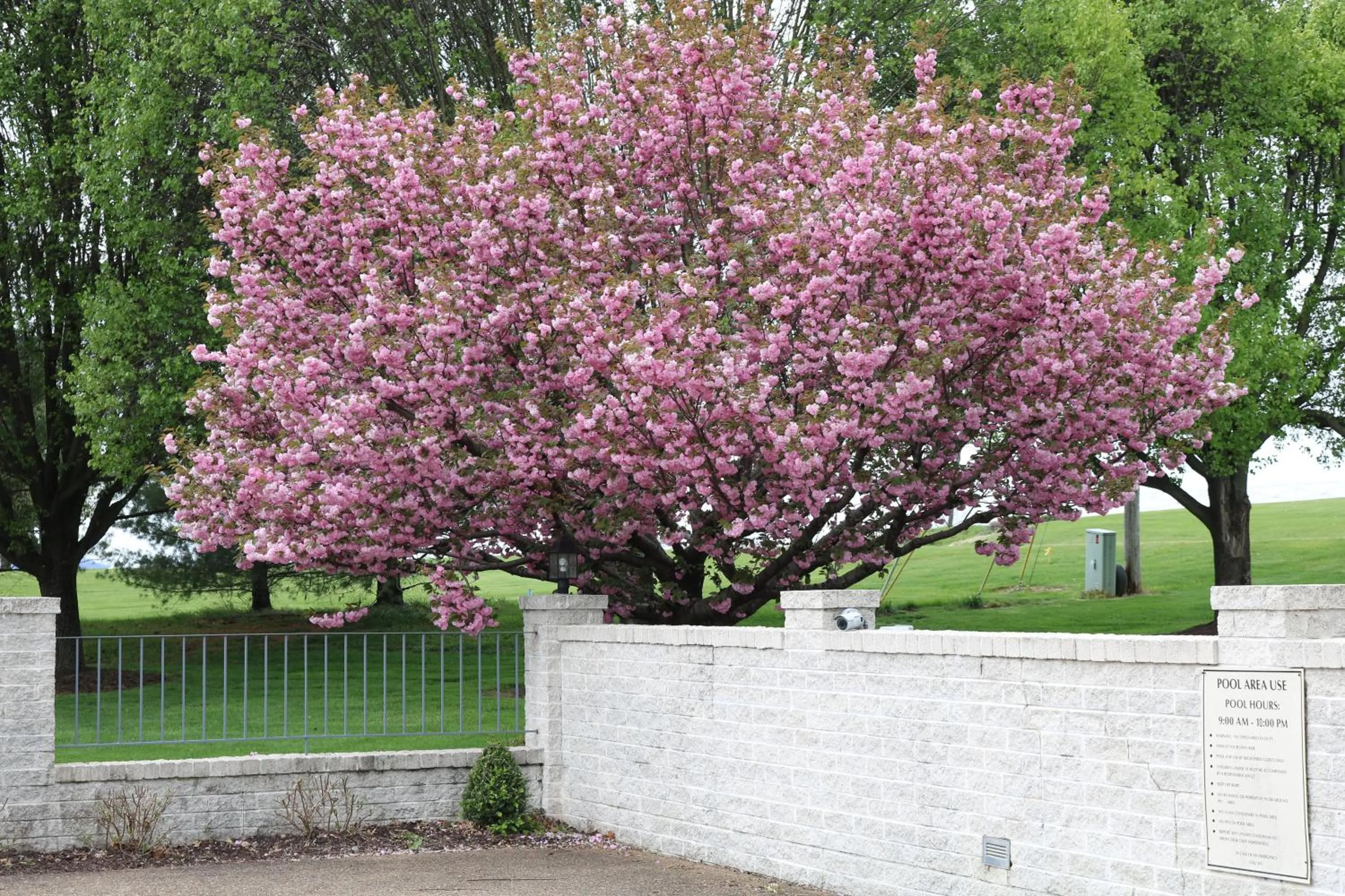 Garden in The Village Inn