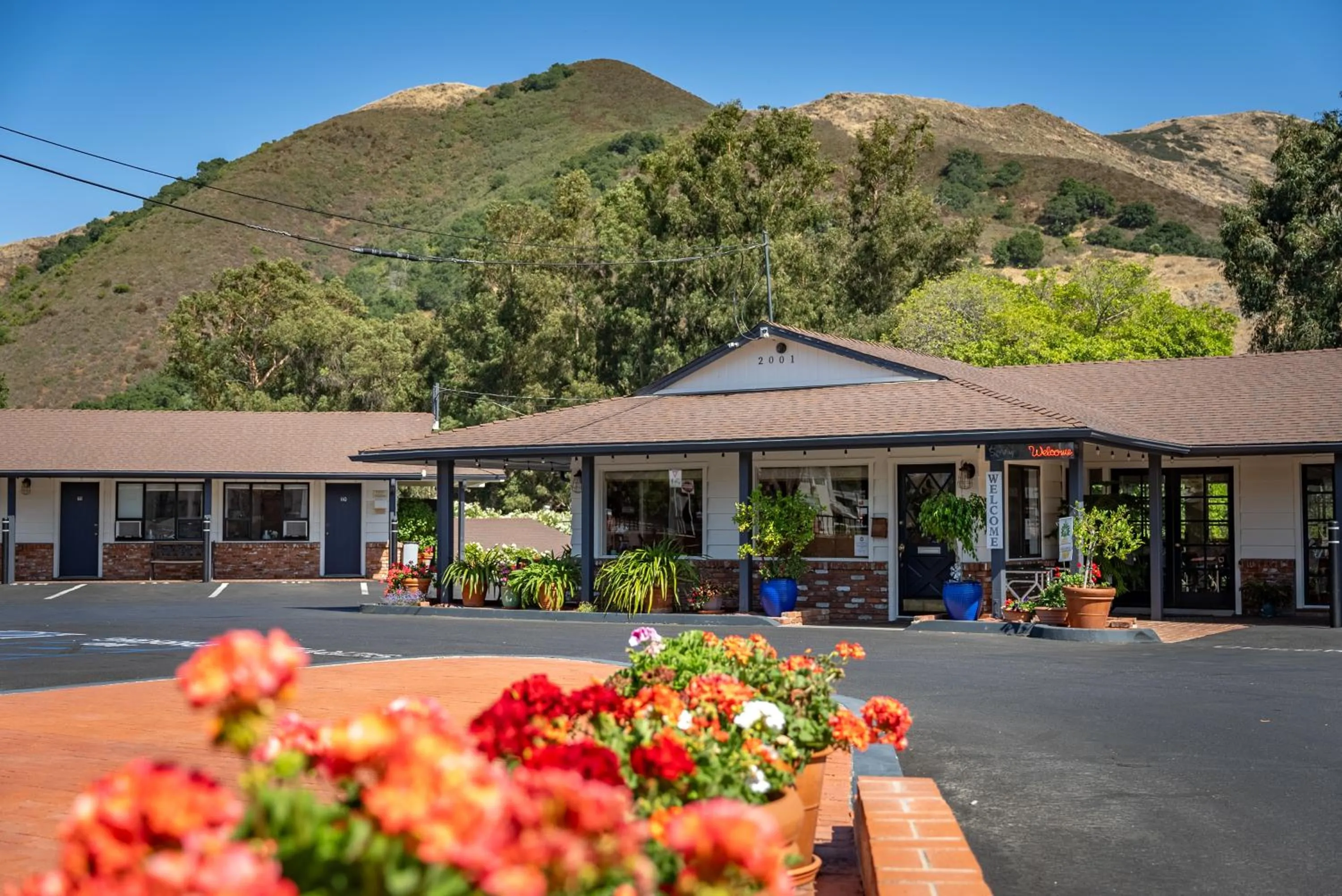 Peach Tree Inn