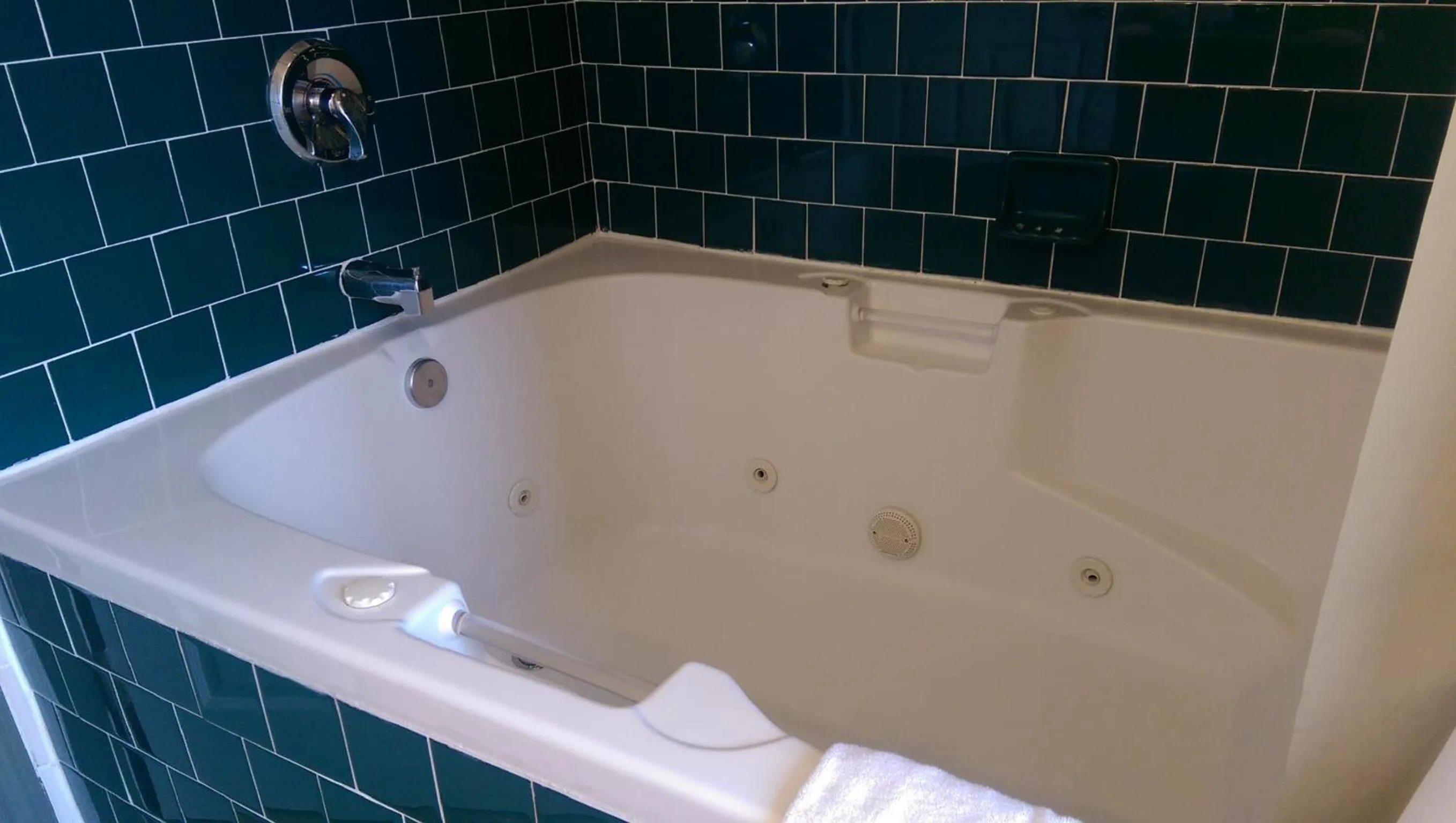 Bathroom in Holland Inn & Suites