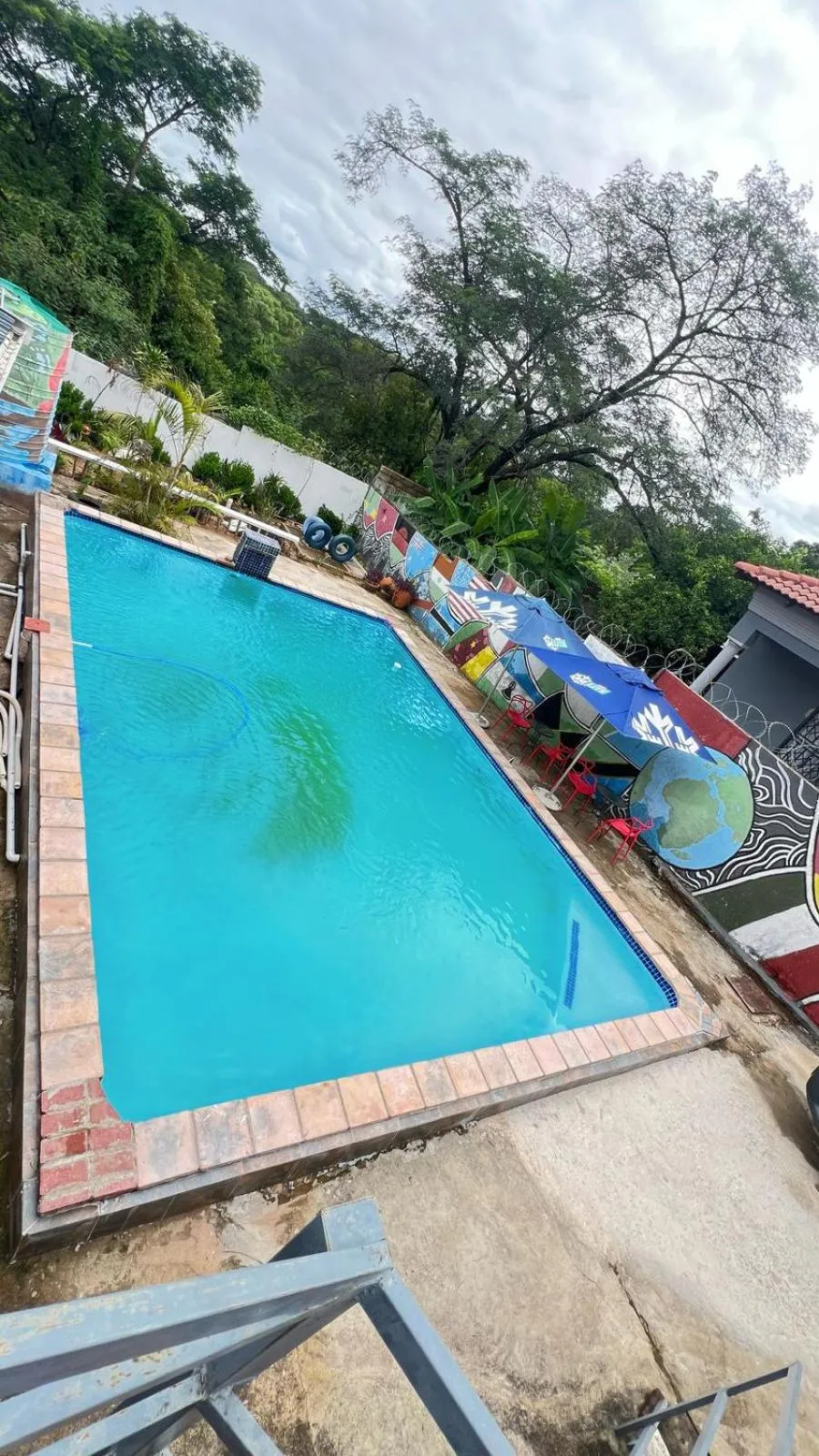 Swimming pool in Woodpeckers Guest House