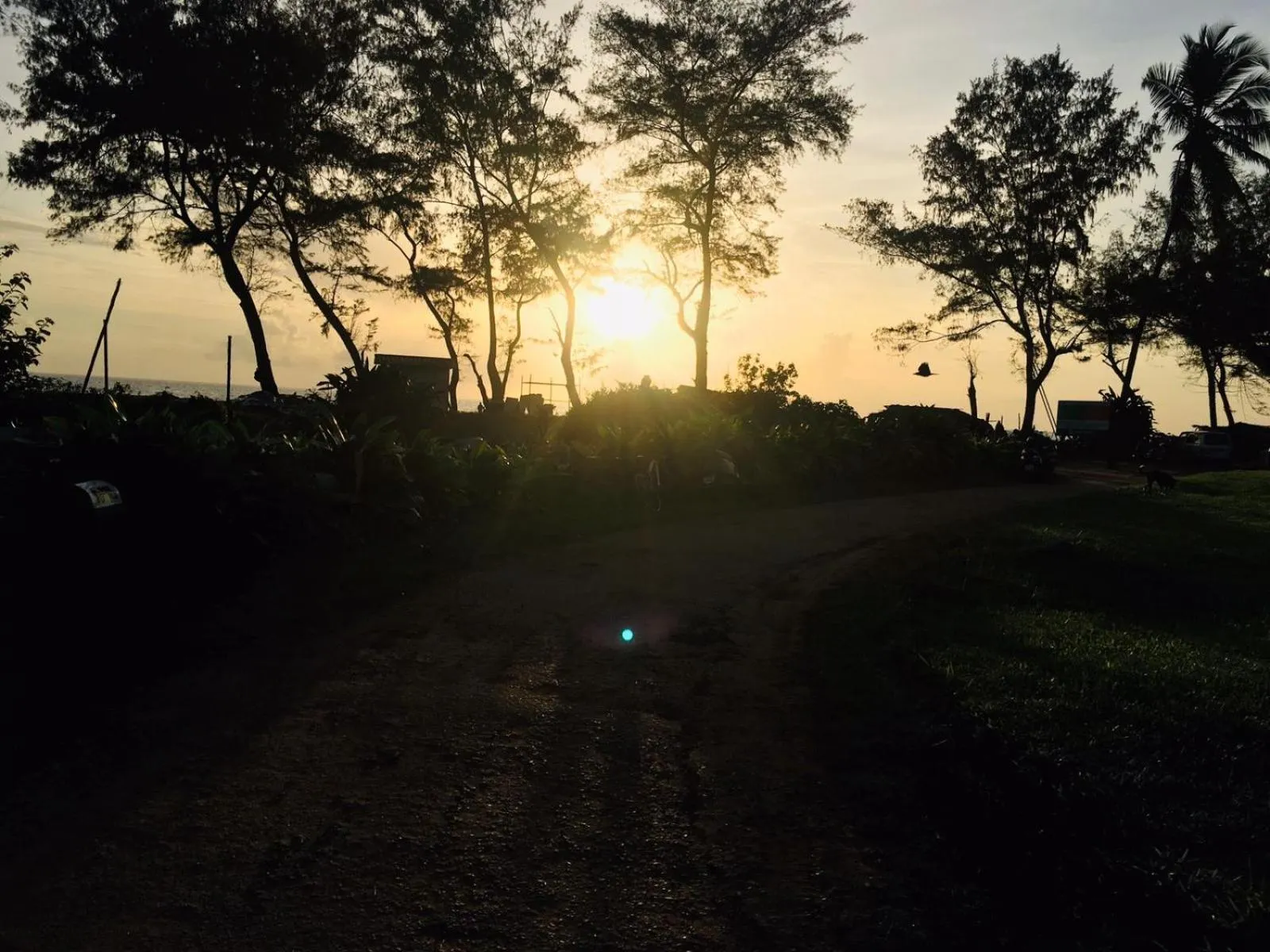 Natural landscape in Martins Crest