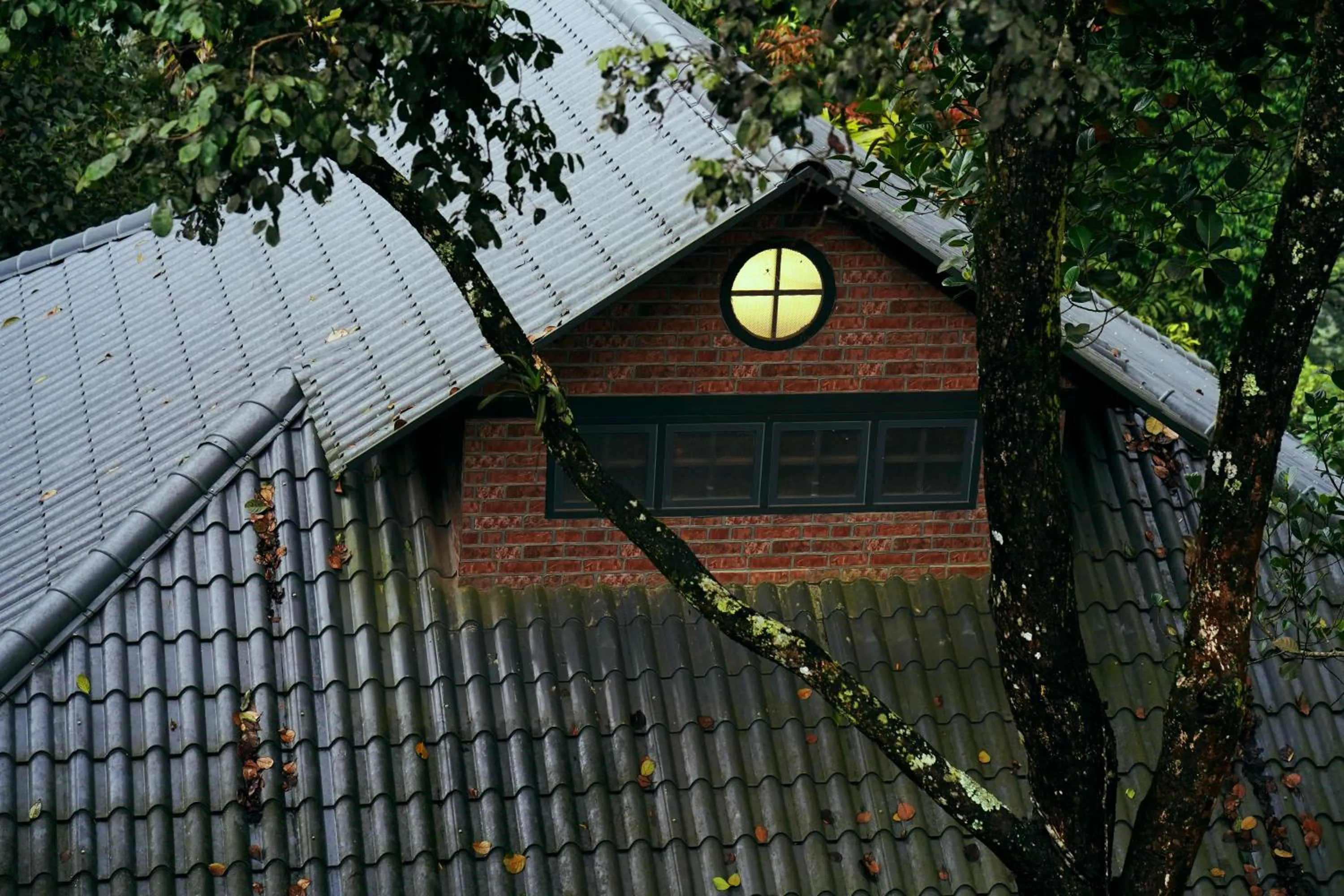 Property building in Elephant Passage