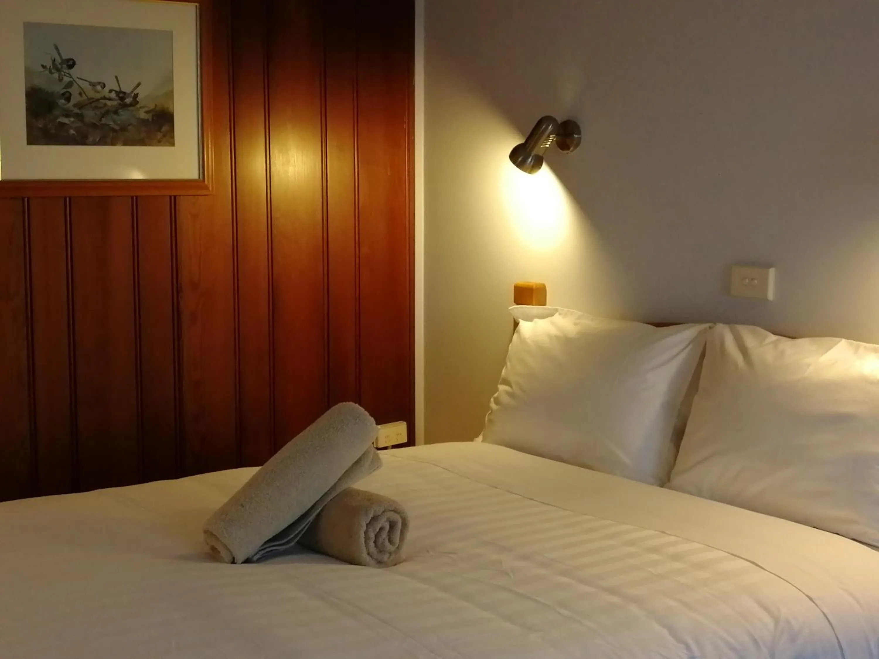 bunk bed, Bed in Banjo Paterson Motor Inn