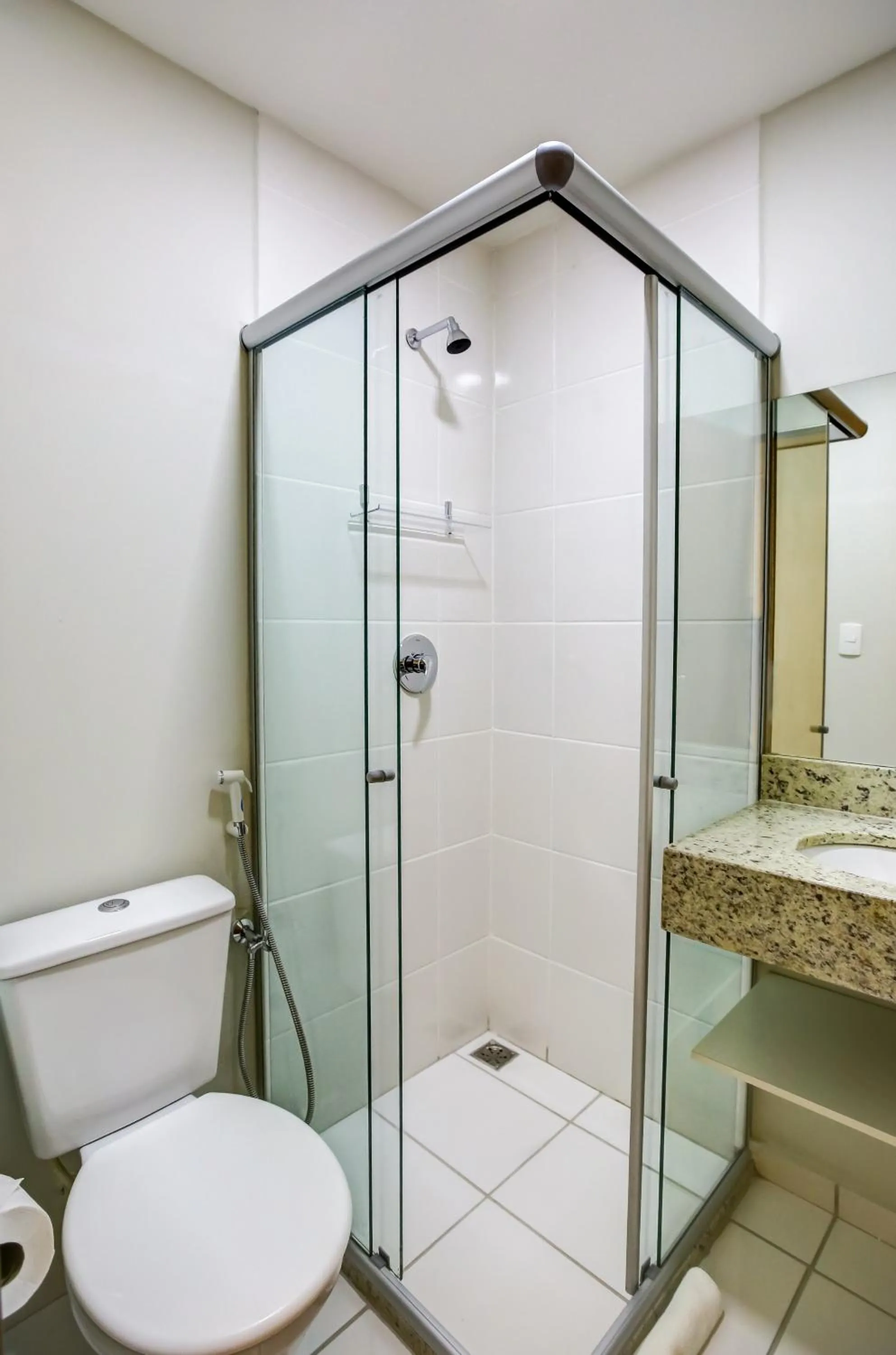 Toilet in Transamerica Fit Lafaiete