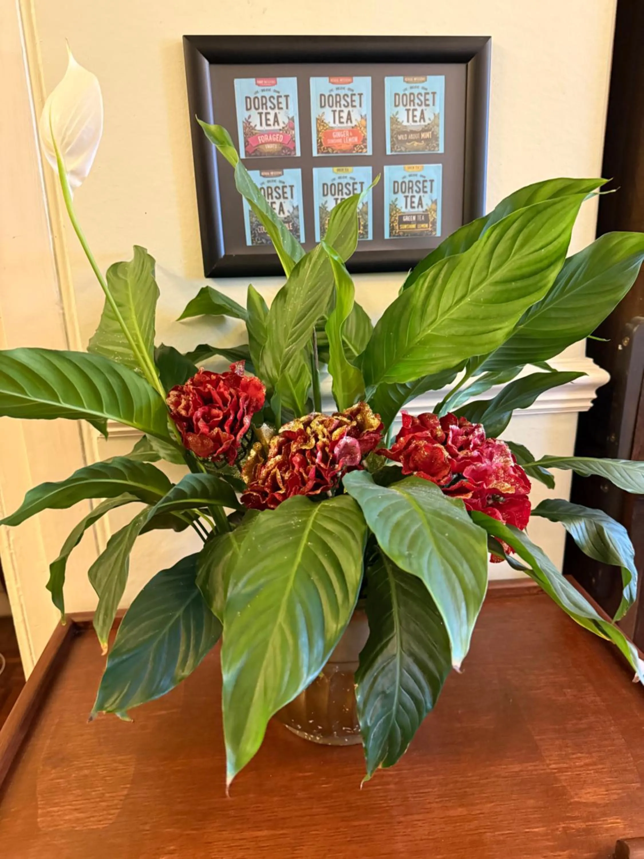 Communal lounge/ TV room in The Angove - Adults Only