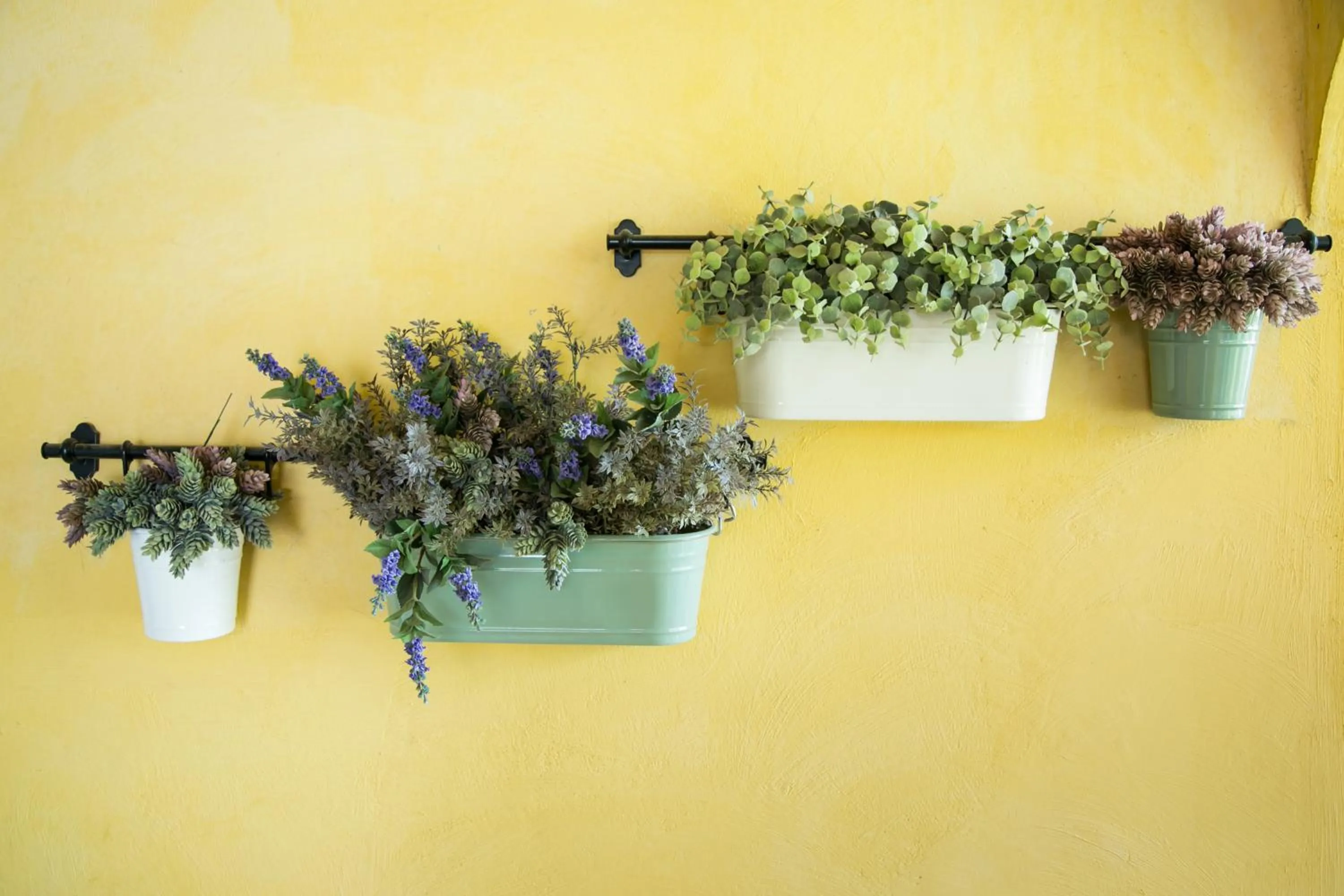 Garden in La Villa Boutique hotel