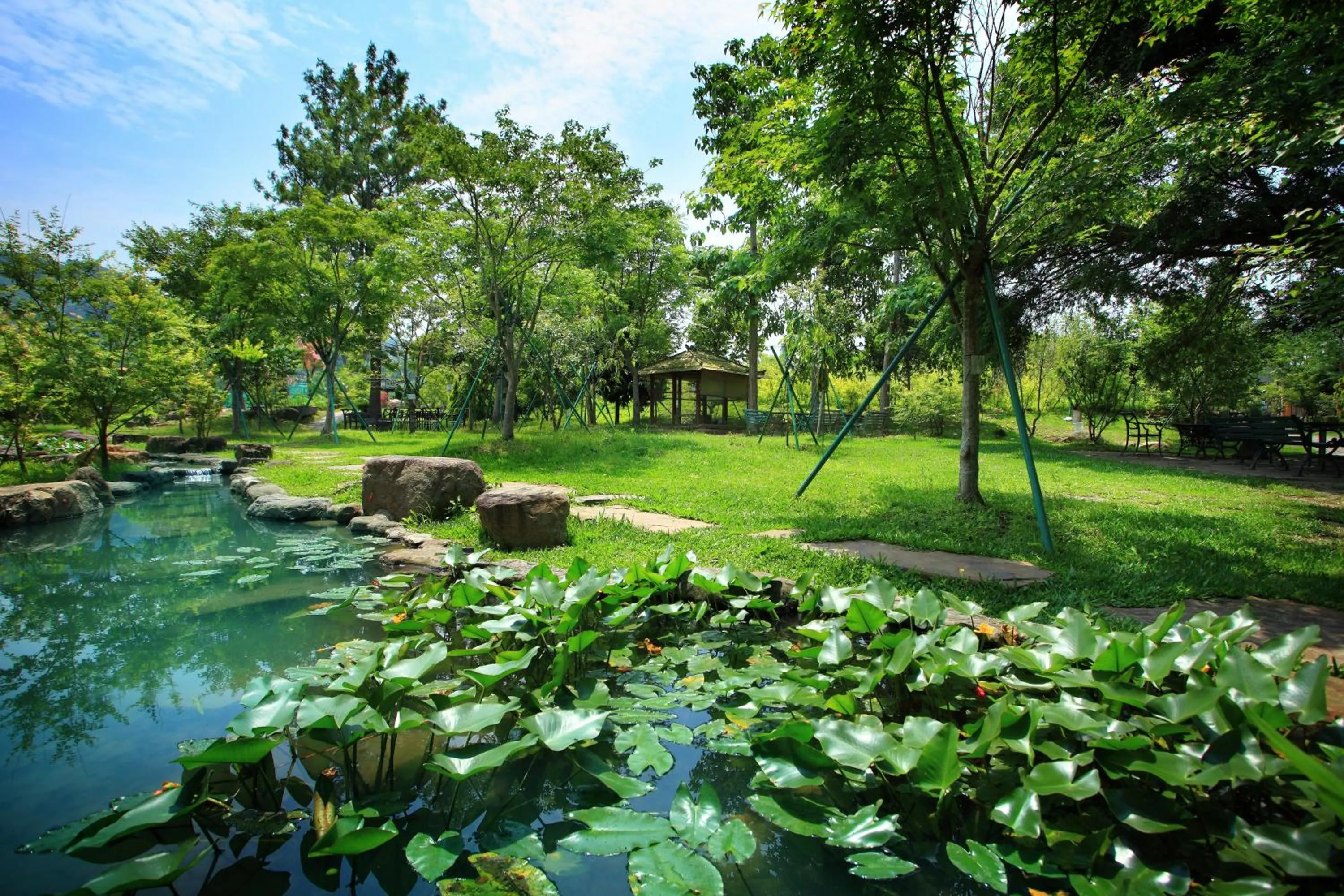 View (from property/room) in Schokolake Country House