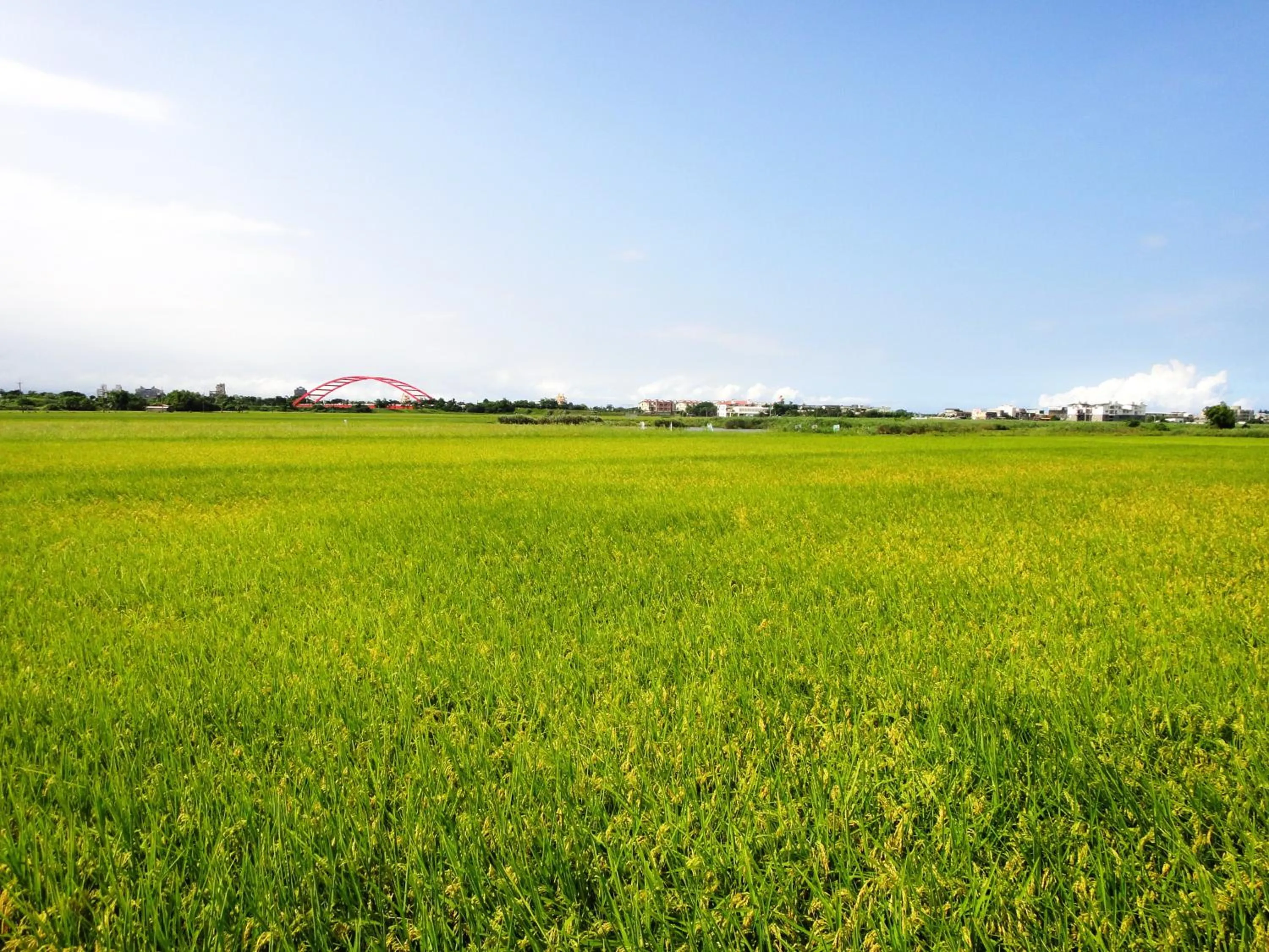 View (from property/room) in Beautiful Yilan Resort