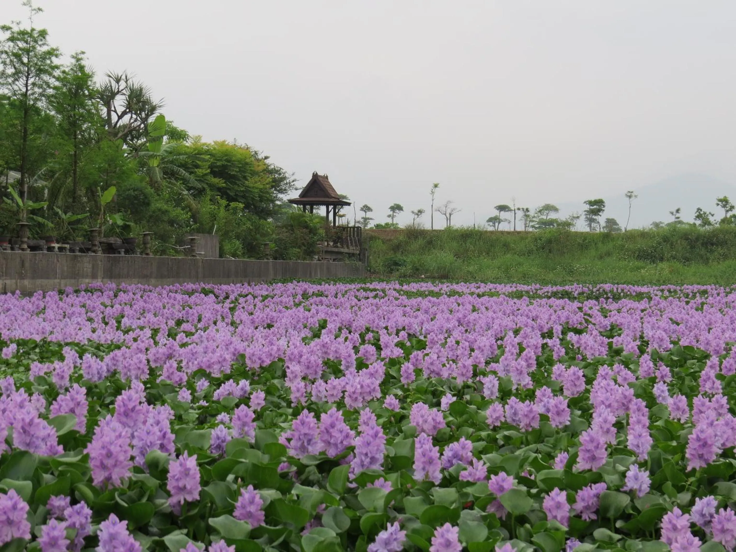 Property building in Beautiful Yilan Resort