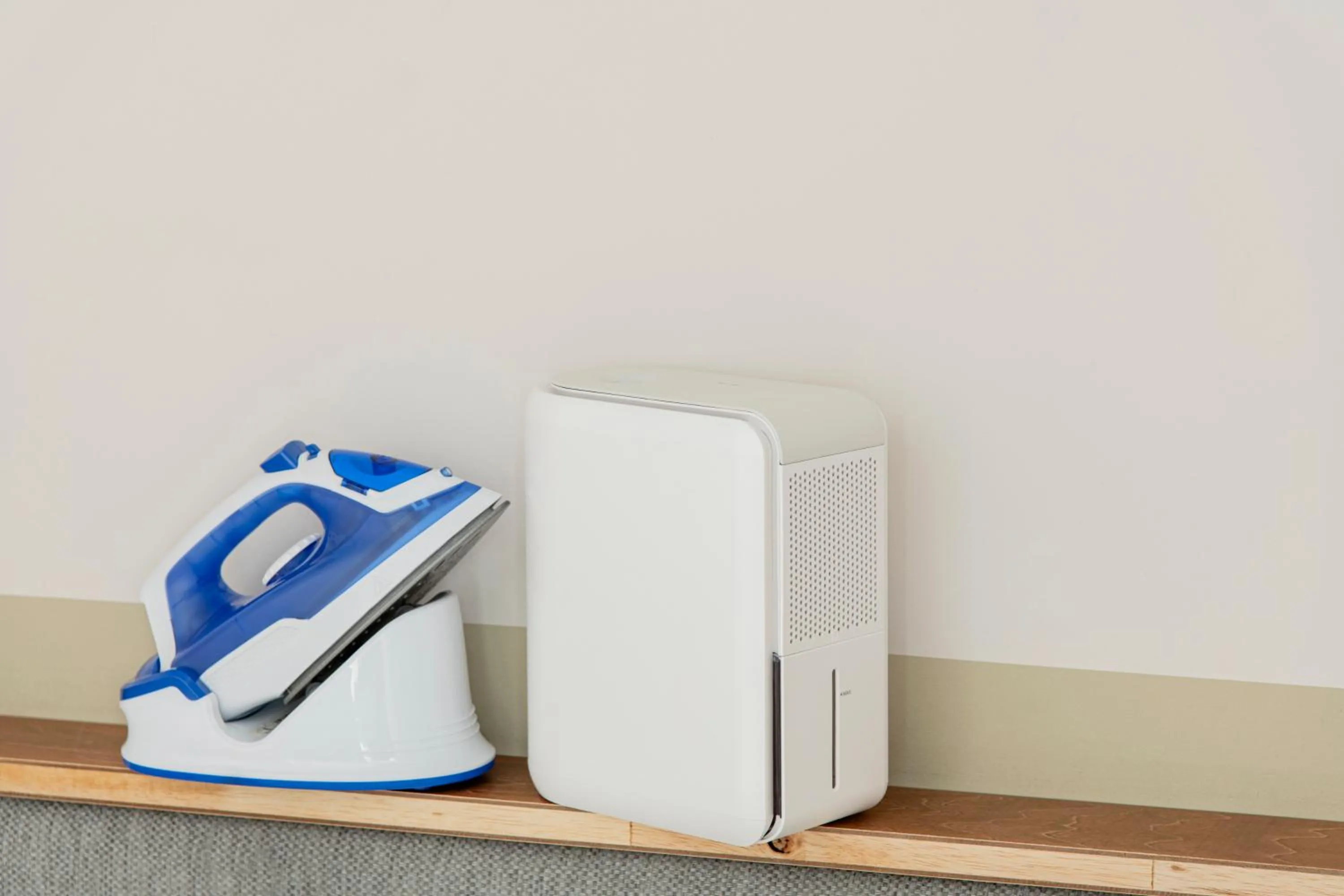 flat iron in Hotel Asakusa KANNONURA