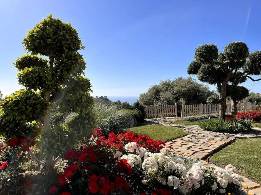 Villa Puerto de la Luz