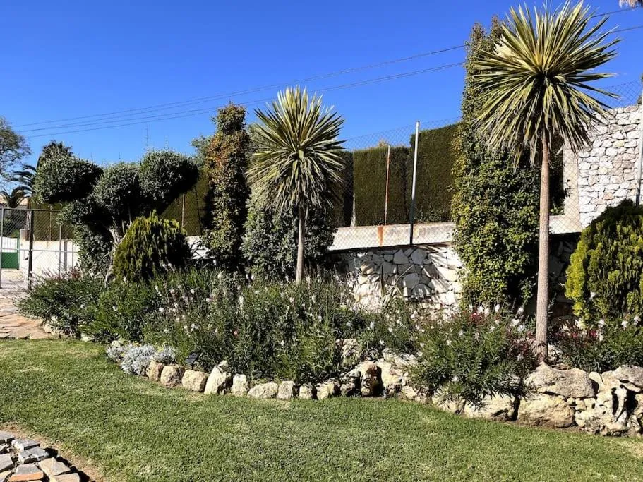 Garden in Villa Puerto de la Luz