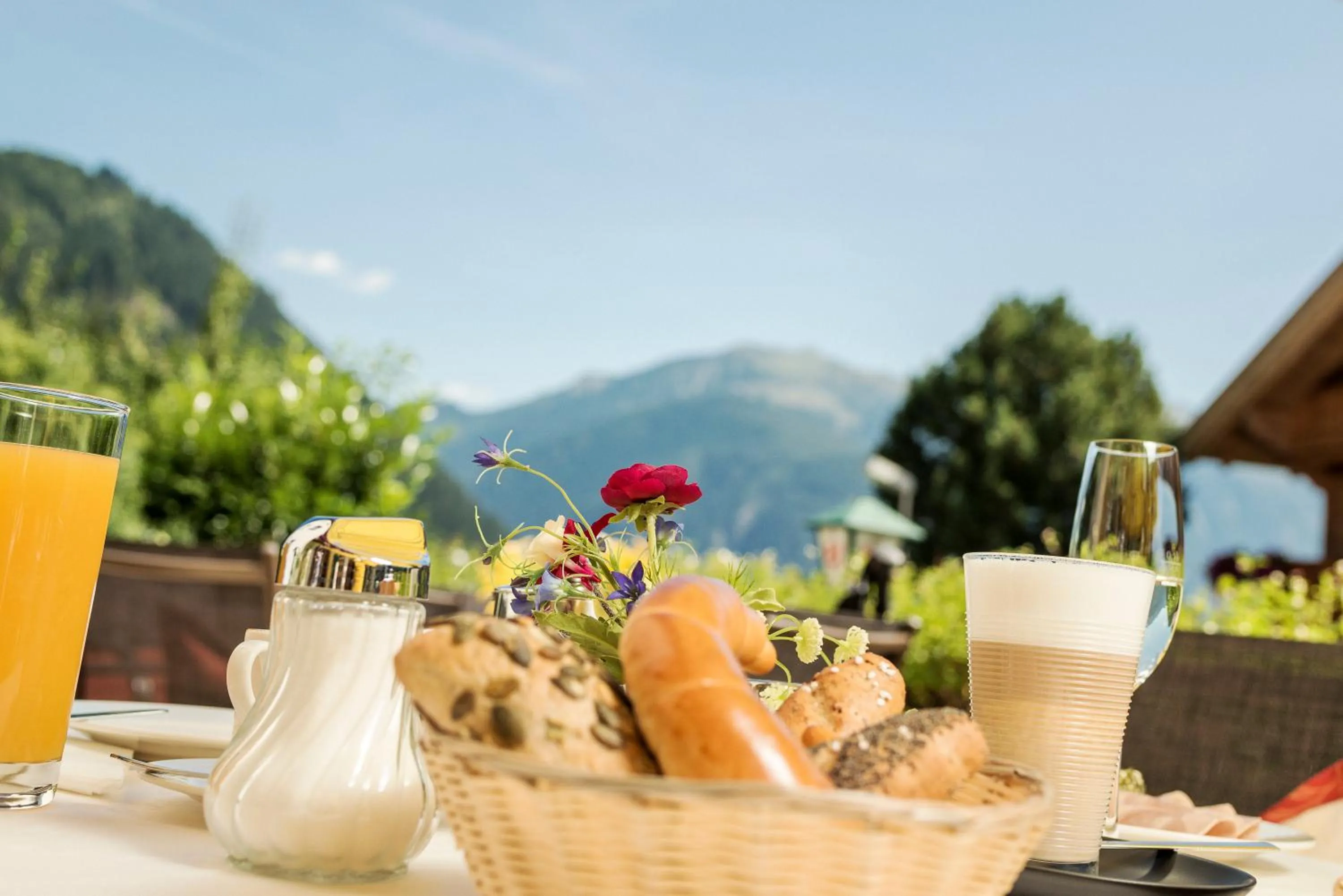 Summer in Hotel Finkenbergerhof