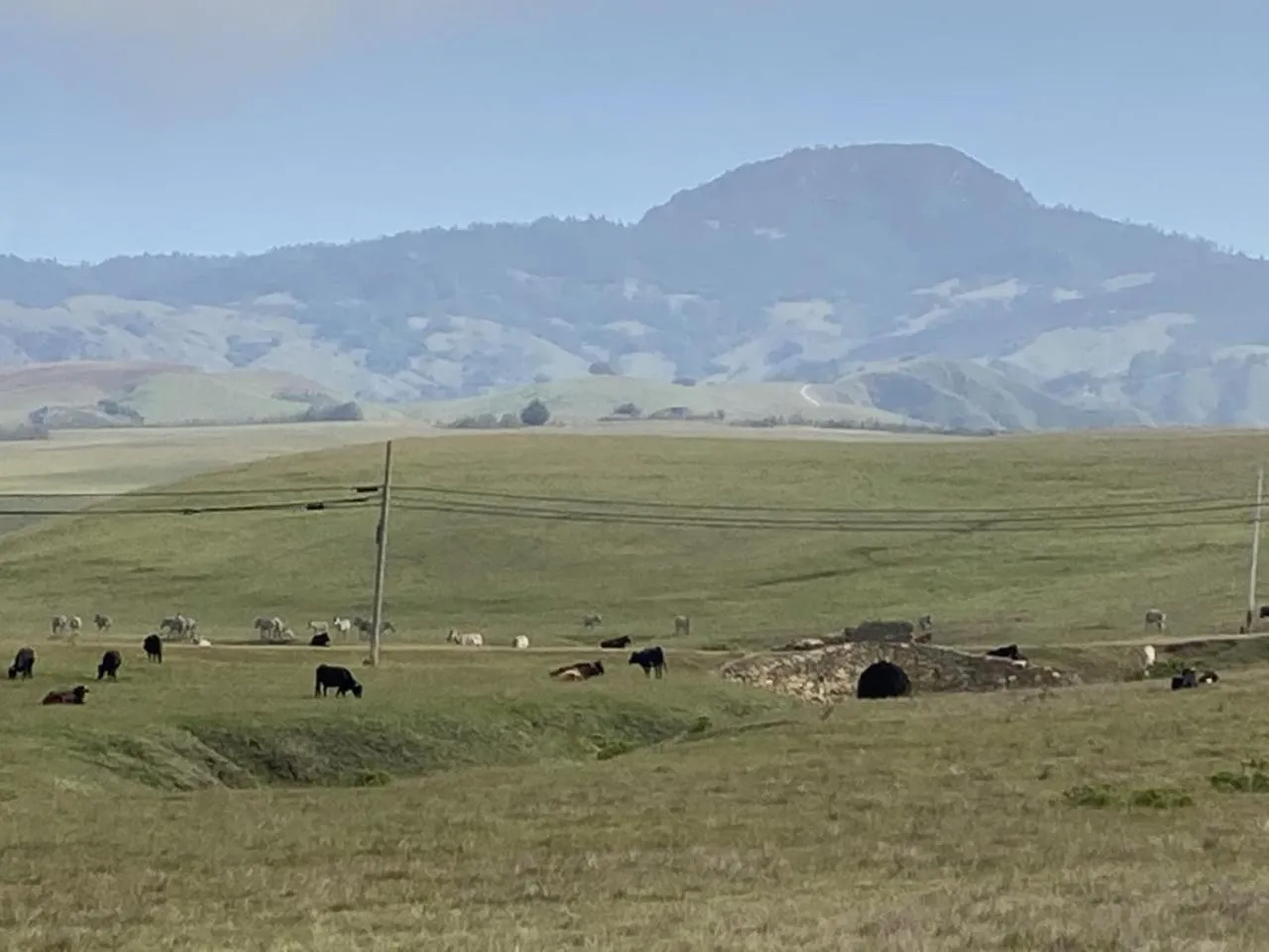 Natural landscape in Coast Riders Inn