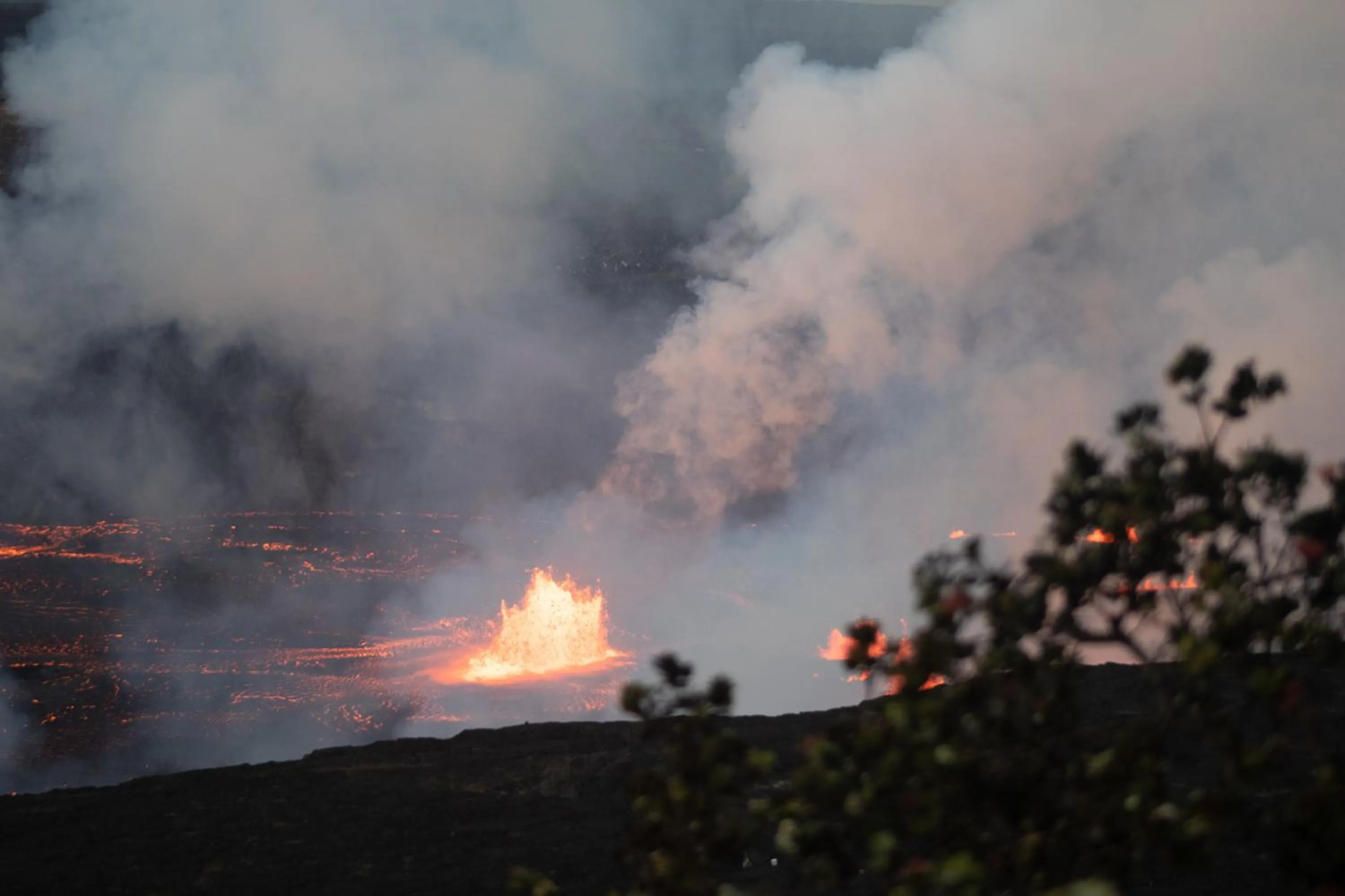 Natural landscape in Wild Ginger Hotel